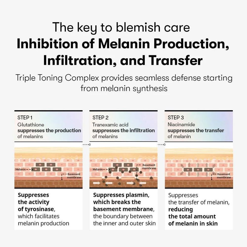 Grafik zeigt drei Schritte zur Hemmung der Melaninproduktion, -infiltration und -übertragung in der Haut.