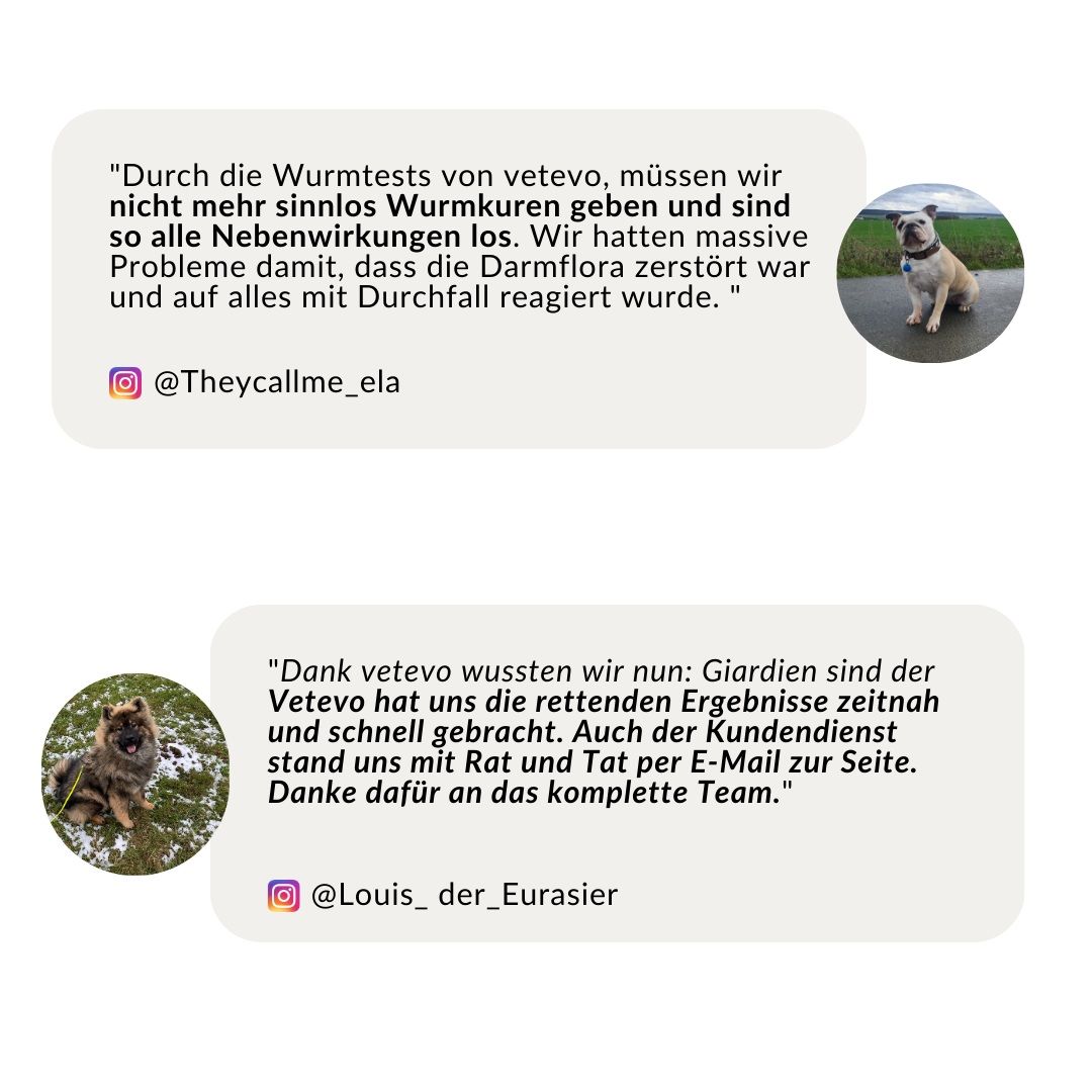 Zwei Kundenbewertungen mit Hundefotos und Instagram-Handles.