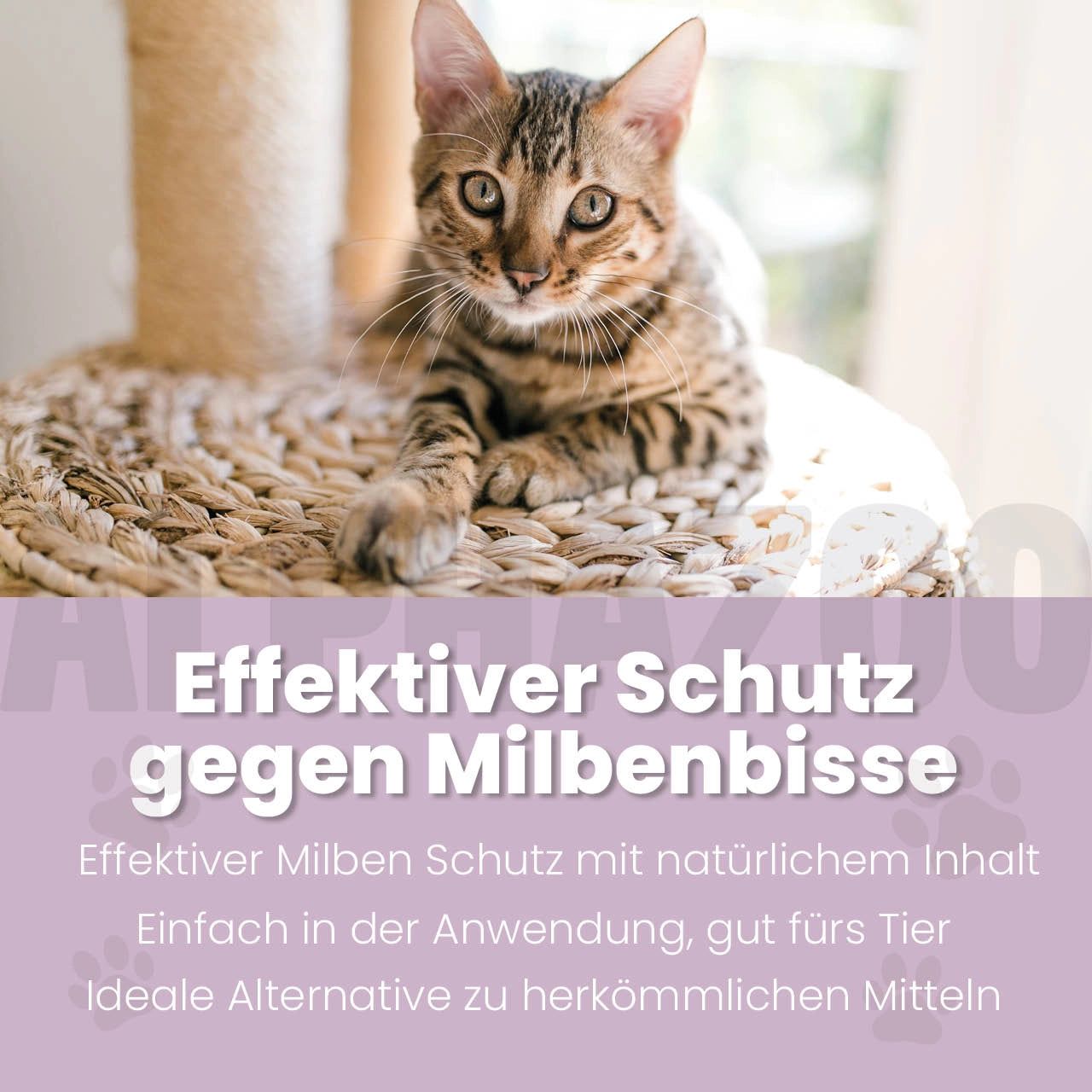 Katze auf einem Kratzbaum. Text: Effektiver Schutz gegen Milbenbisse. Effektiver Milbenschutz mit natürlichem Inhalt.