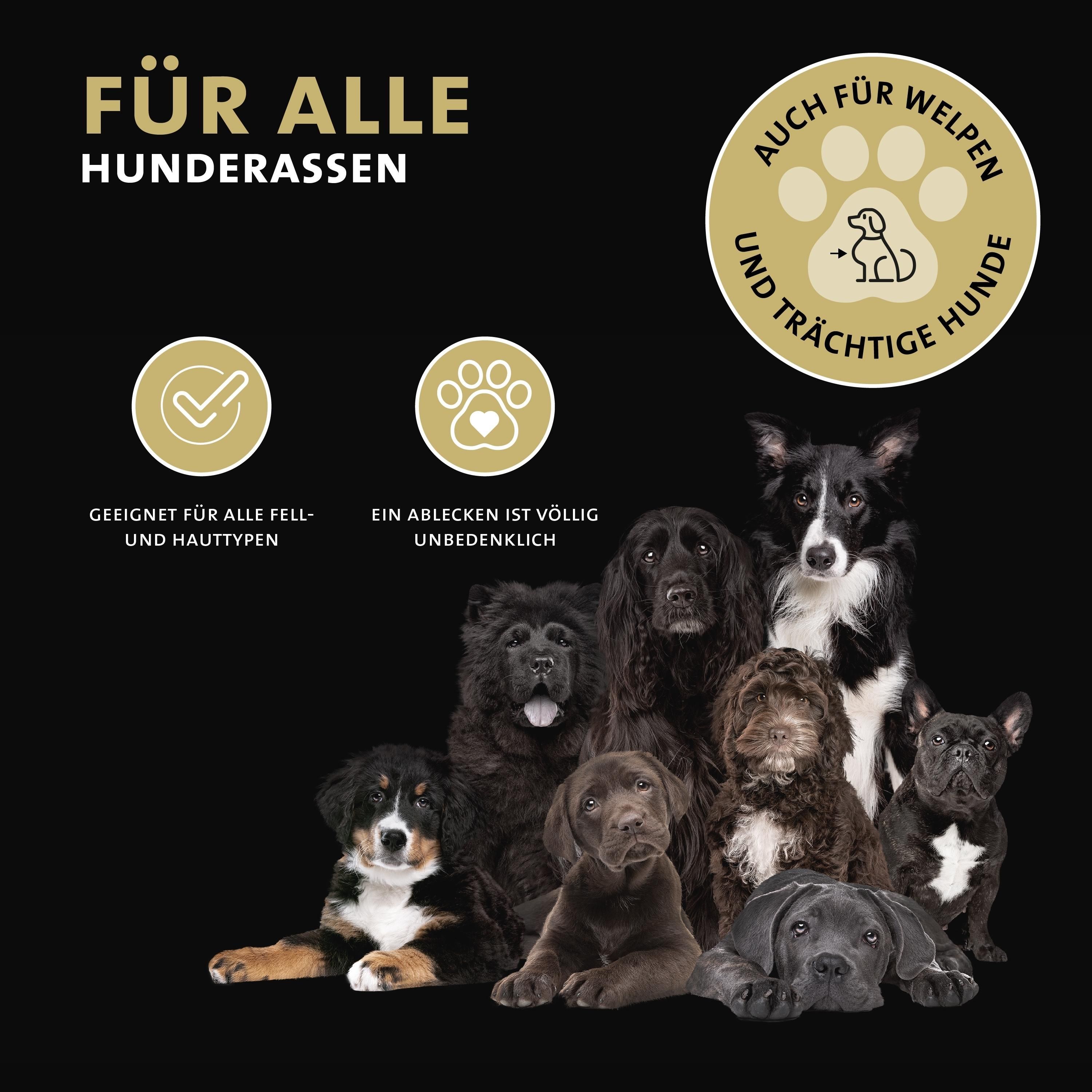 Peticare Anti-Läuse & Haarlinge Spray für Hunde, lindert effektiv Juckreiz