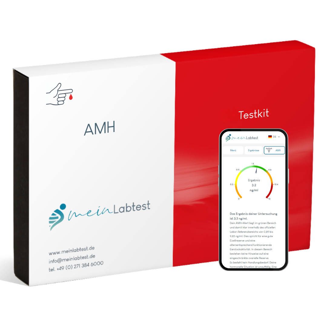 Weiß-roter Karton mit AMH-Test-Aufdruck. Logo und Kontaktinformationen von meinLabtest. Smartphone mit Testergebnis.