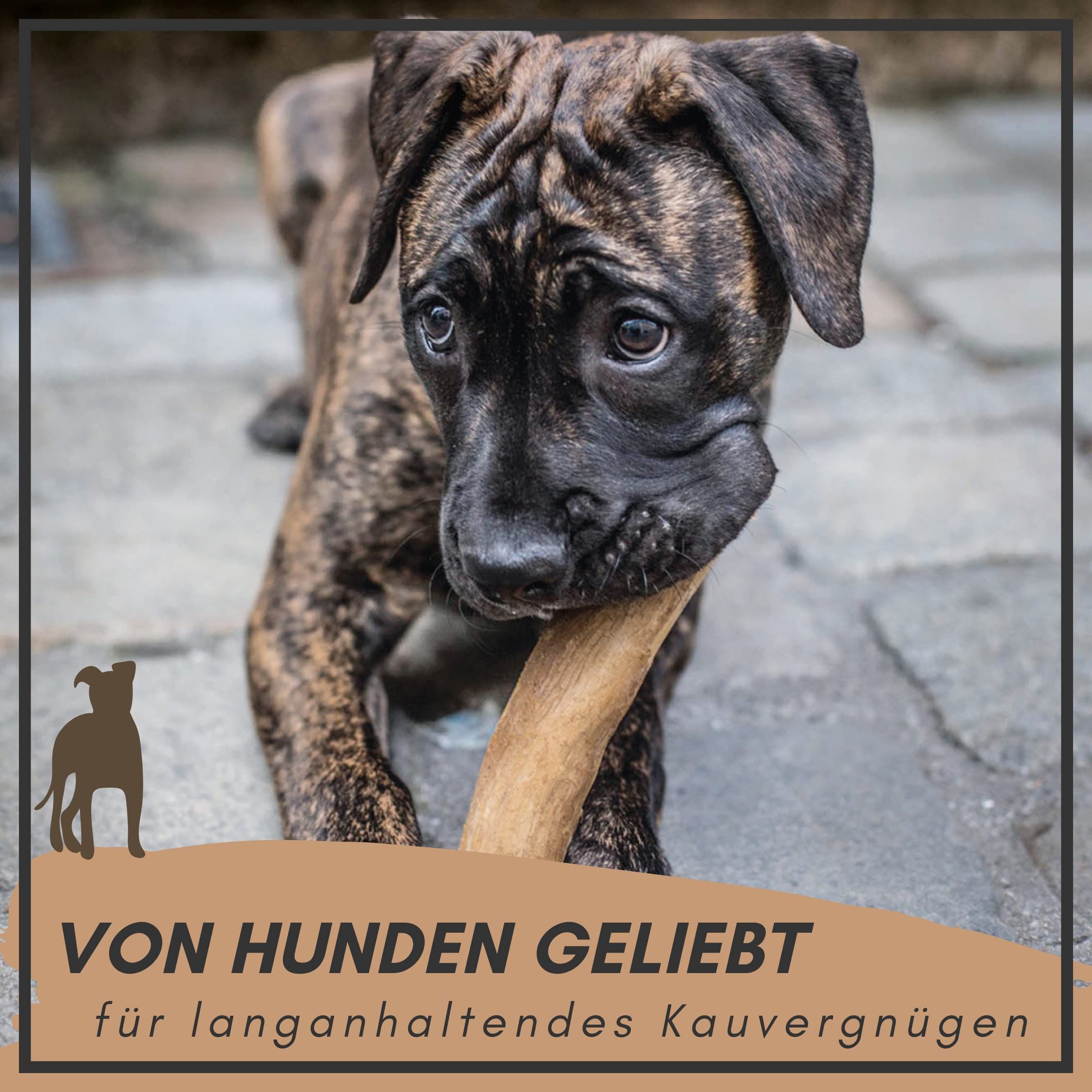 Welpe mit Kauknochen aus Kaffeeholz im Maul. Aufschrift: Von Hunden geliebt, für langanhaltendes Kauvergnügen.