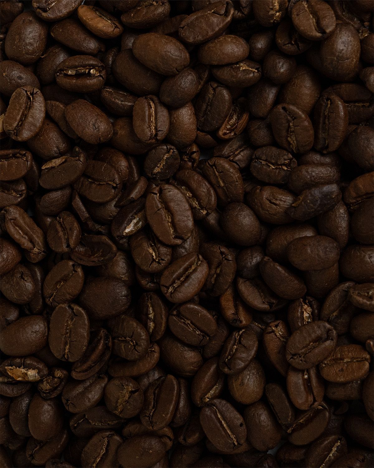 Nahaufnahme von gerösteten, dunklen Kaffeebohnen.