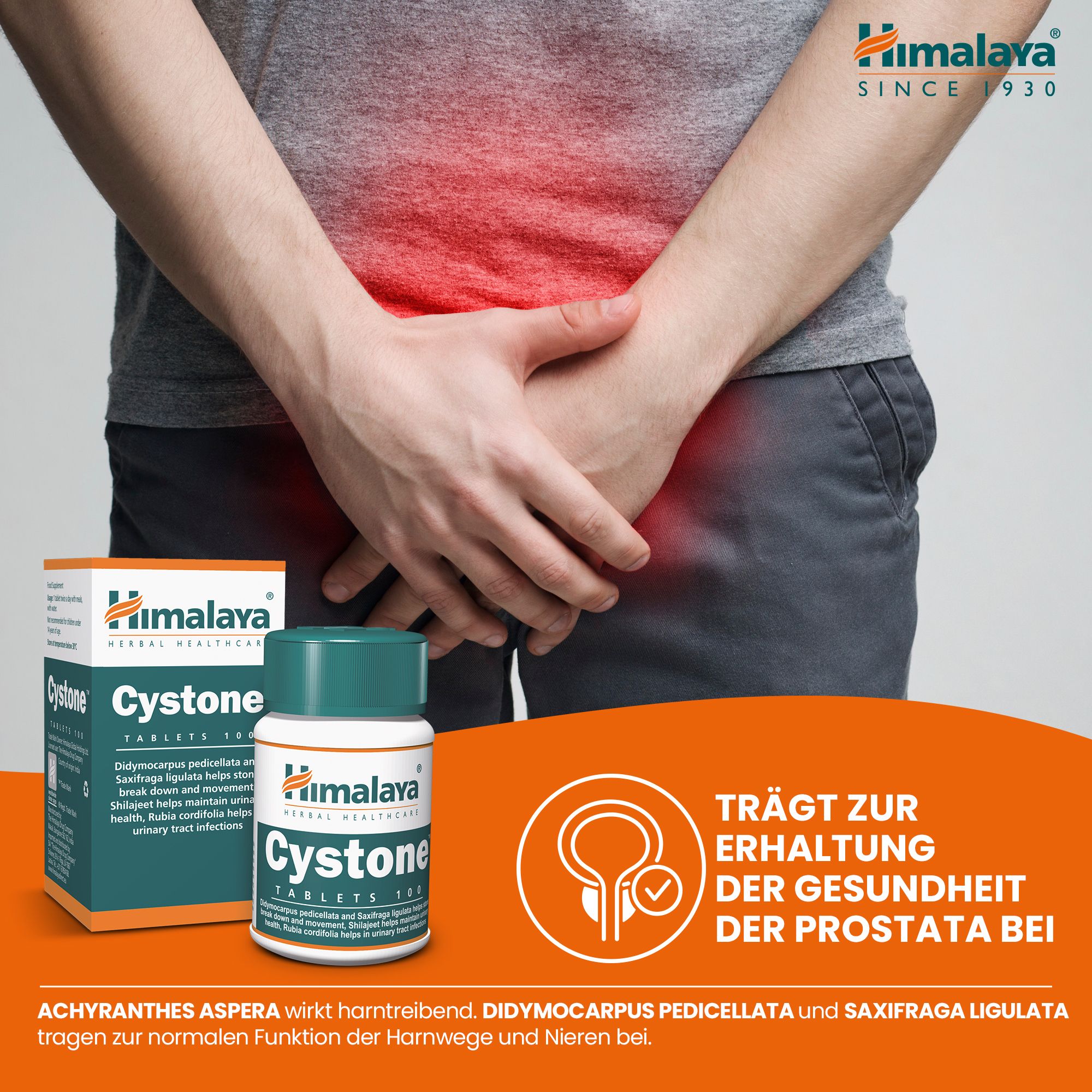 Mann mit Schmerzen im Unterleib neben Himalaya Cystone Tabletten und Prostatagesundheits-Symbol.
