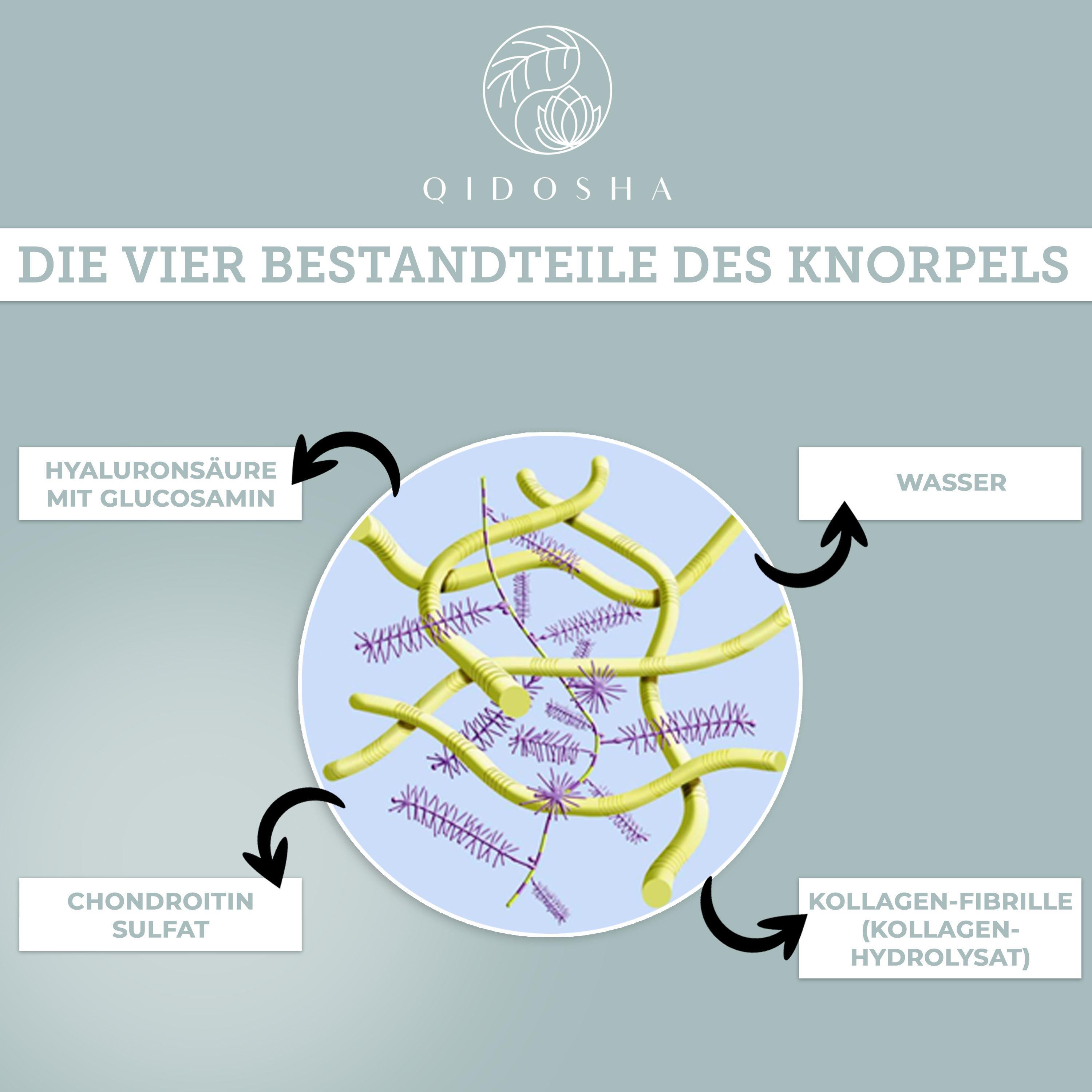 Qidosha Flow Gelenk-Komplex 135 g Kapseln