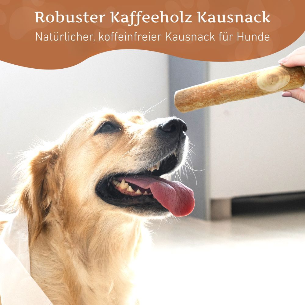 Hund mit Kaustab.  Text: Robuster Kaffeeholz Kausnack.  Natürlicher, koffeinfreier Kausnack für Hunde.  Hand hält Kaustab.