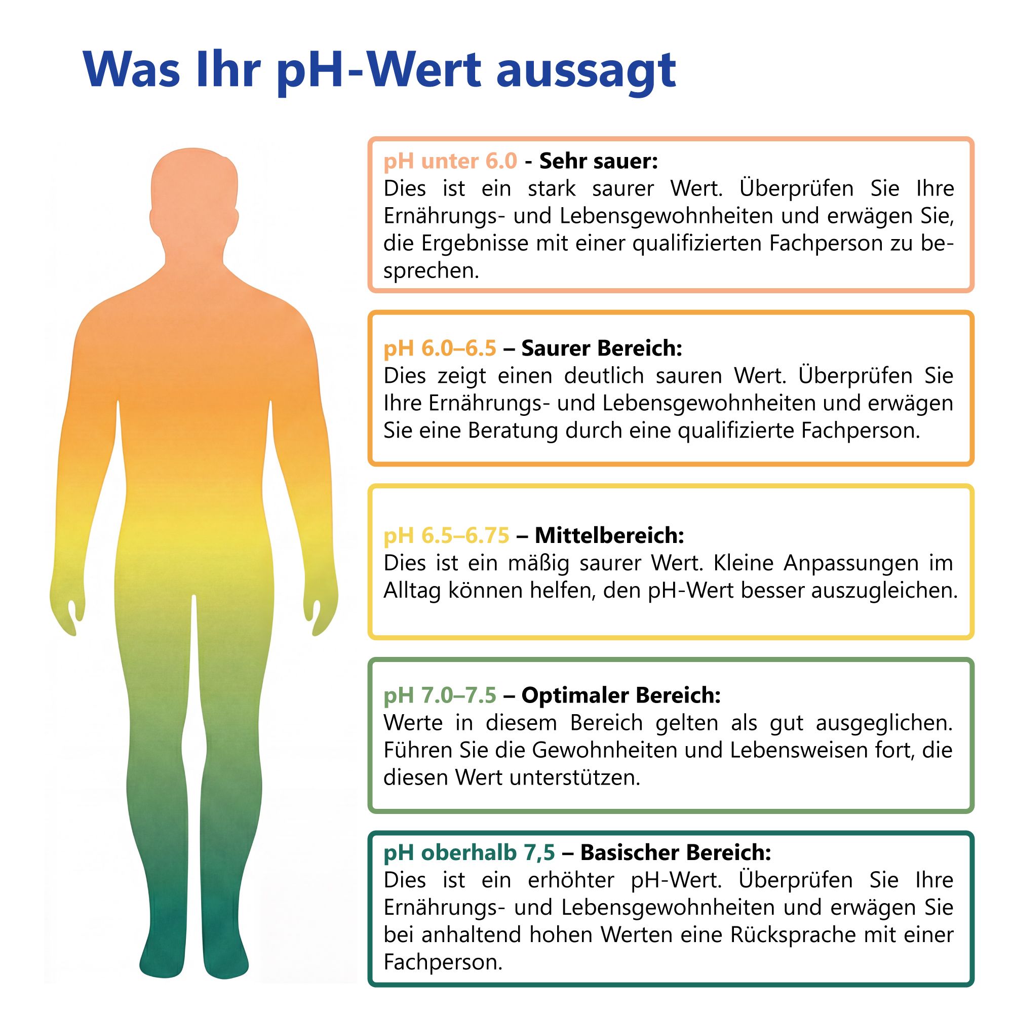 Diagramm mit pH-Wert-Bereichen und Erklärungen. Menschliche Silhouette mit Farbverlauf.