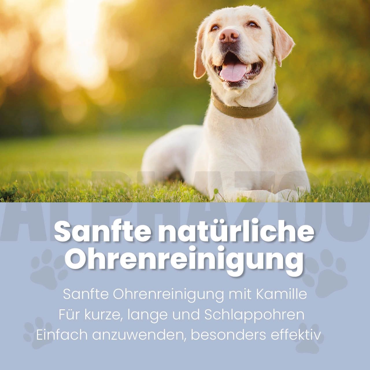 Hund liegt im Gras. Text: Sanfte natürliche Ohrenreinigung. Sanfte Ohrenreinigung mit Kamille. Für kurze, lange und Schlappohren.
