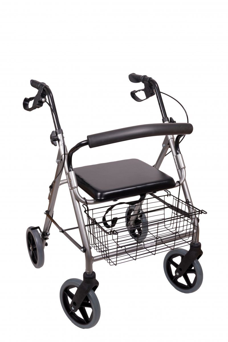 Standard-Leichtgewicht-Rollator AT51003
