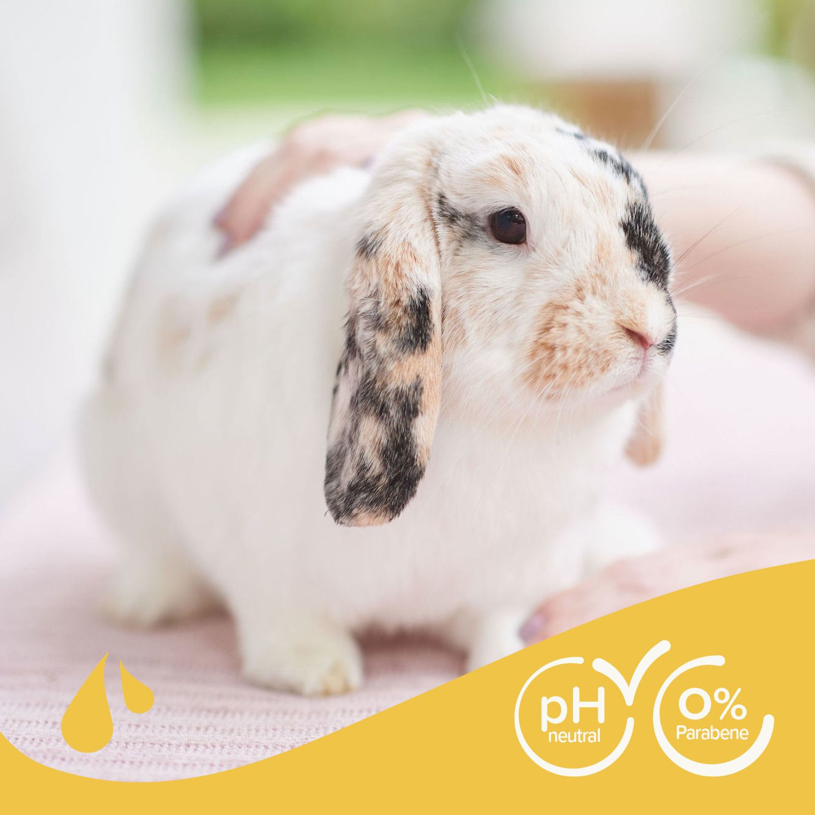 Weißes Kaninchen mit schwarzen Flecken. Hände berühren das Tier. Text: pH-neutral, 0% Parabene.