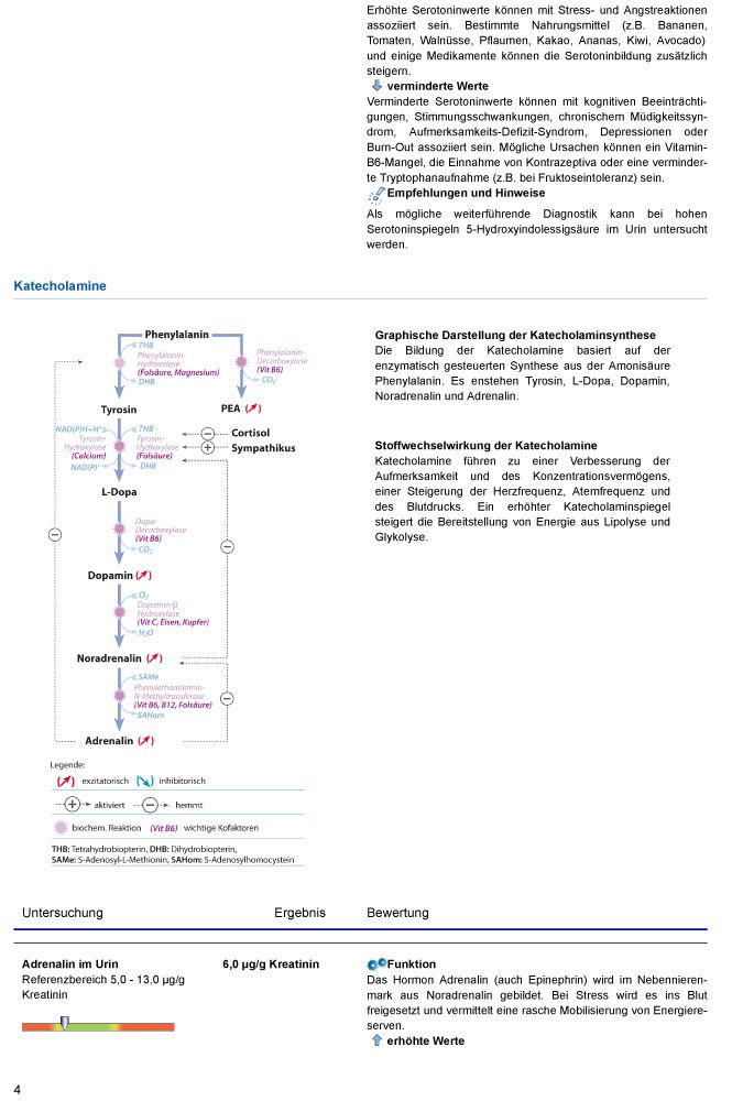 medivere diagnostics Stress & Erschöpfung Test