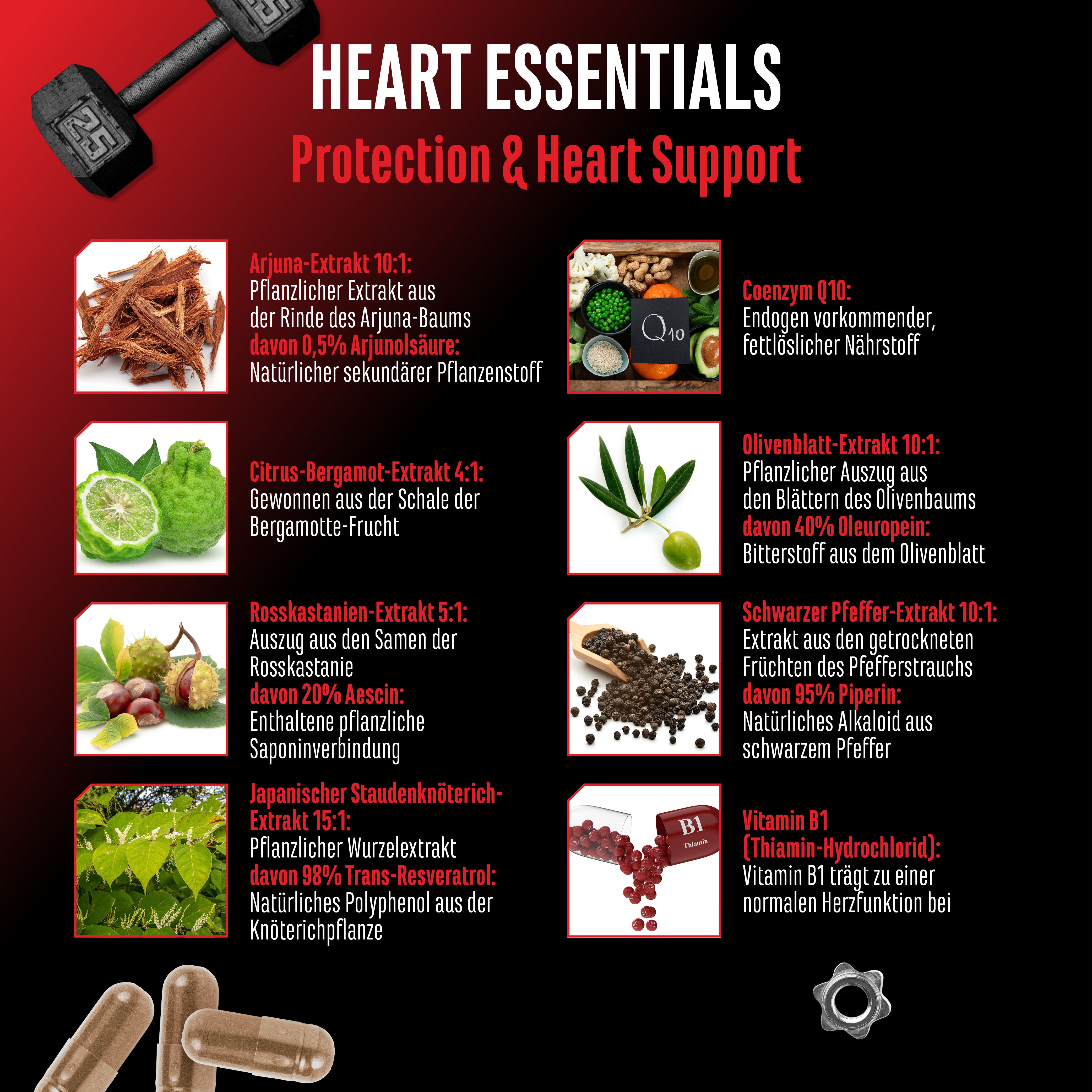 GEN Heart Essentials