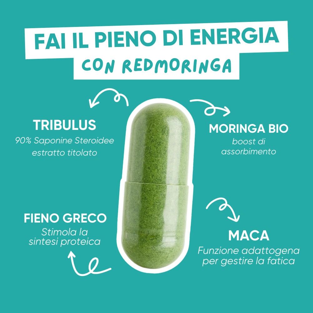 Grüne Kapsel mit Text: Tribulus, Fieno Greco, Maca, Moringa. Pfeile zeigen auf die Inhaltsstoffe.