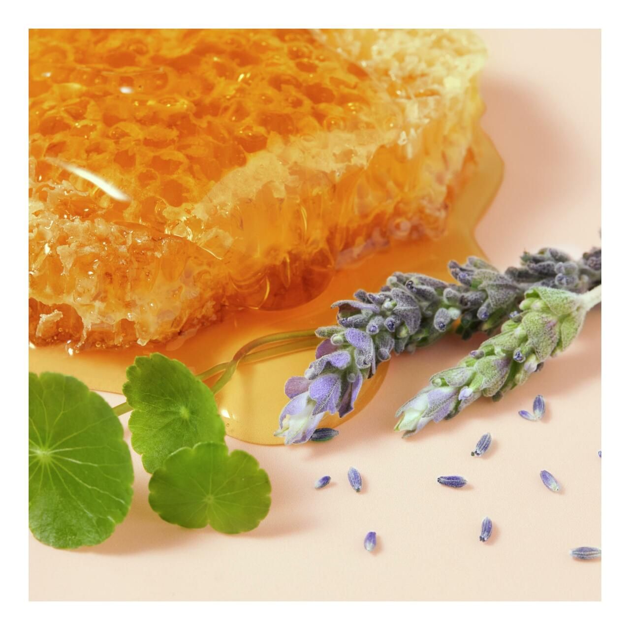 Honigwabe, Honig, Lavendel und Blätter. Auf rosa Hintergrund.