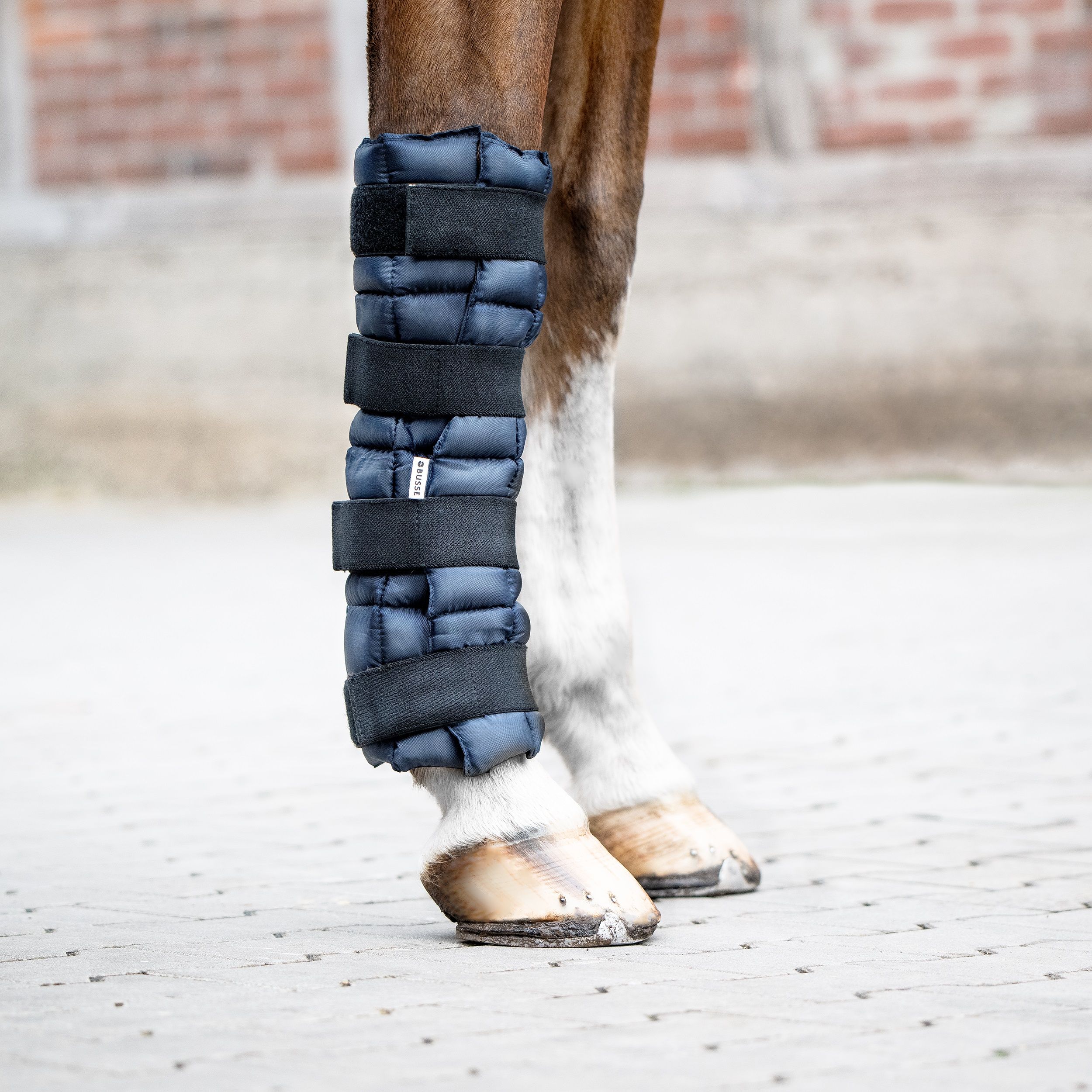 Blau gepolsterte Bandage am Pferdebein. Schwarze Klettverschlüsse. Pferd auf Pflastersteinen.
