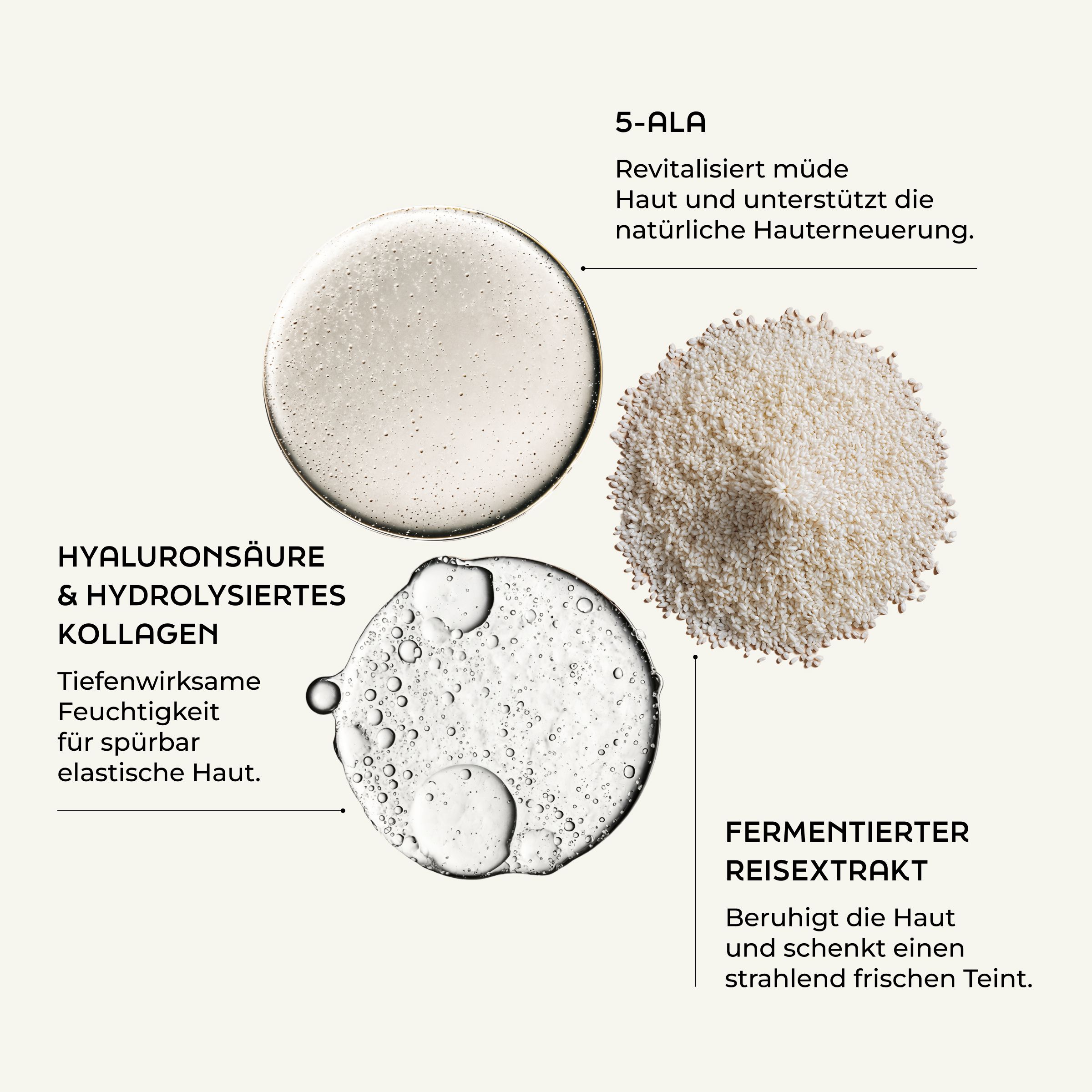 Kreisförmige Abbildungen von Inhaltsstoffen: 5-ALA, Hyaluronsäure & hydrolysiertes Kollagen, fermentierter Reisextrakt.