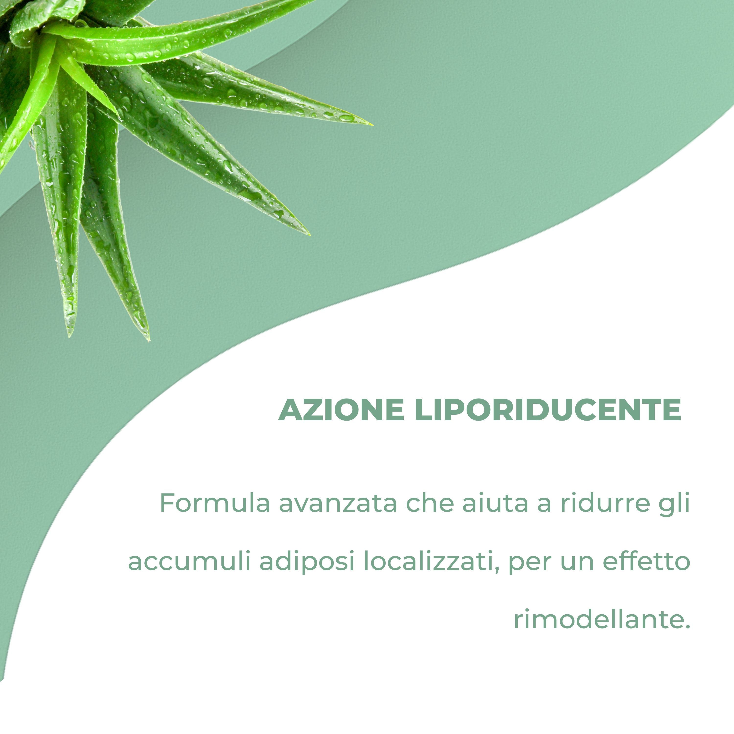 Aloha Labs AdipoZero Körpercreme – Intensive Straffende und Formende Pflege