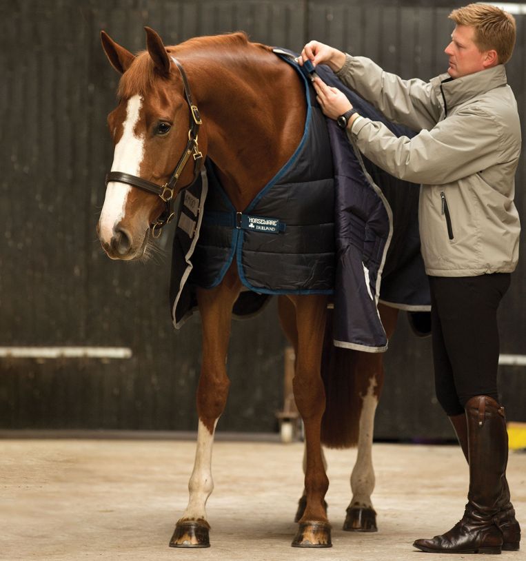 Person legt blaue Pferdedecke auf ein braunes Pferd. Aufschrift: Horseware Ireland. Steppdesign.