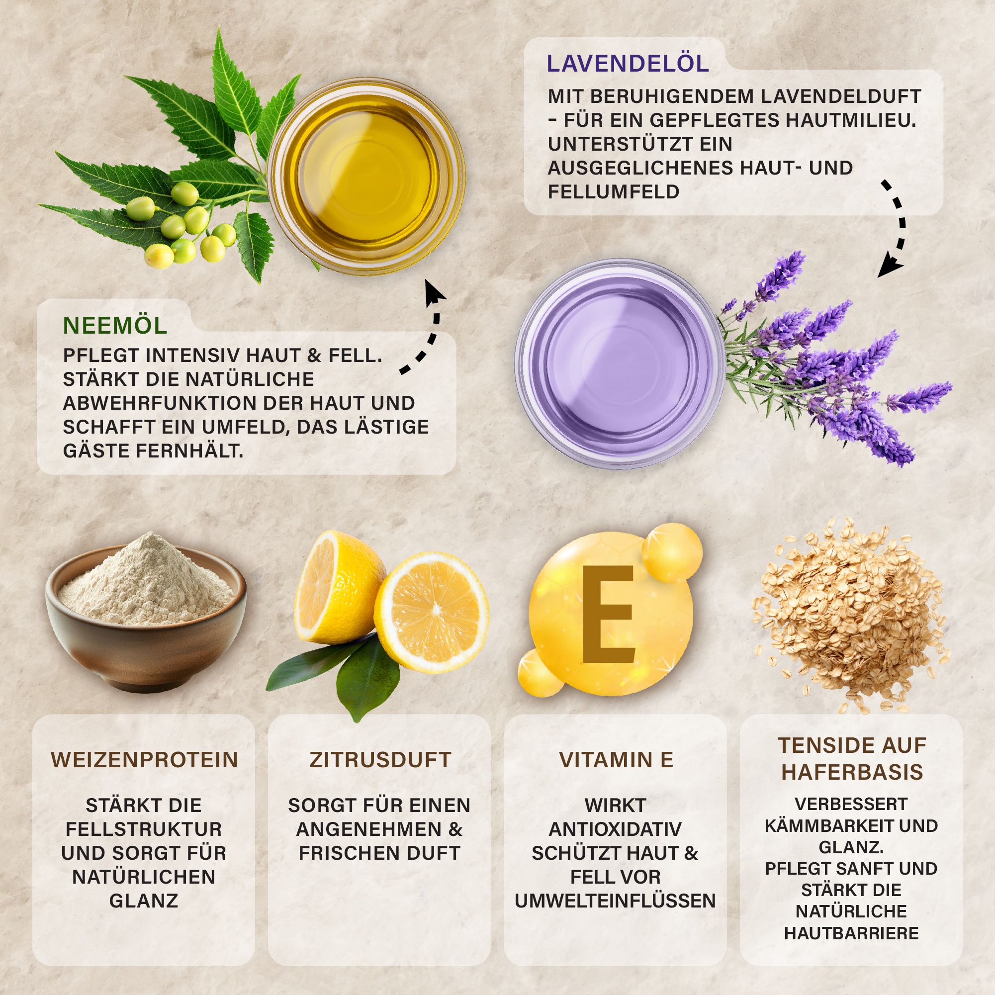 Veddelholzer Natürliches Neemöl Hunde Shampoo