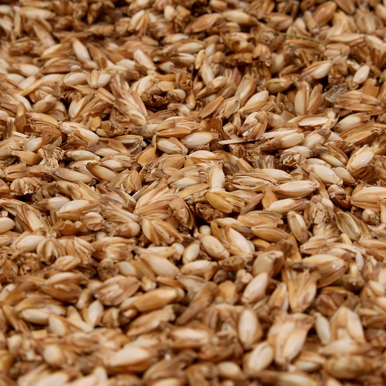 Mudis Mondkissen Stillkissen mit Bio Dinkelspelzen / Zirbenholz Füllung