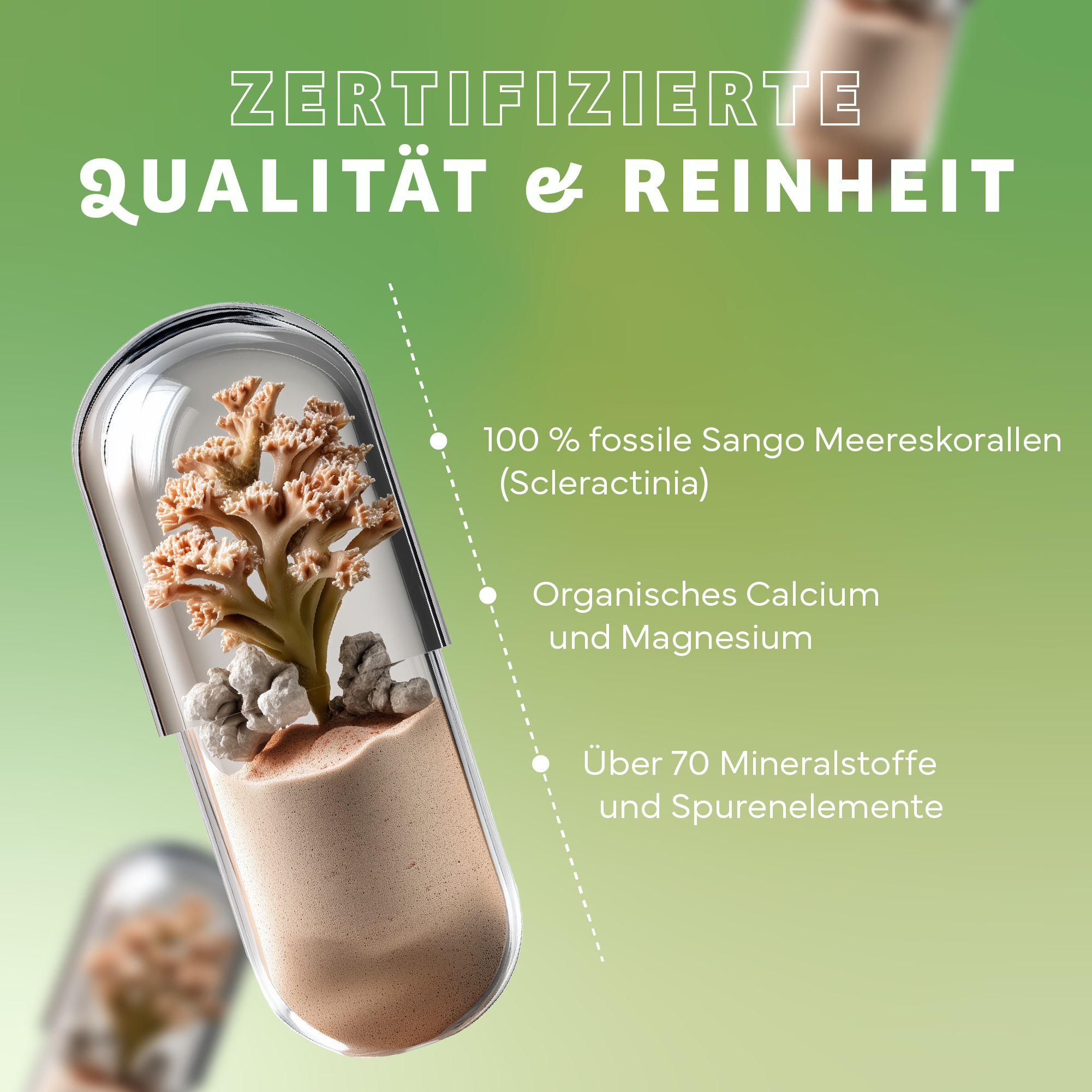 Kapsel mit Sango-Koralle. Zertifizierte Qualität & Reinheit. Enthält fossile Sango-Meereskorallen, organisches Calcium und Magnesium.