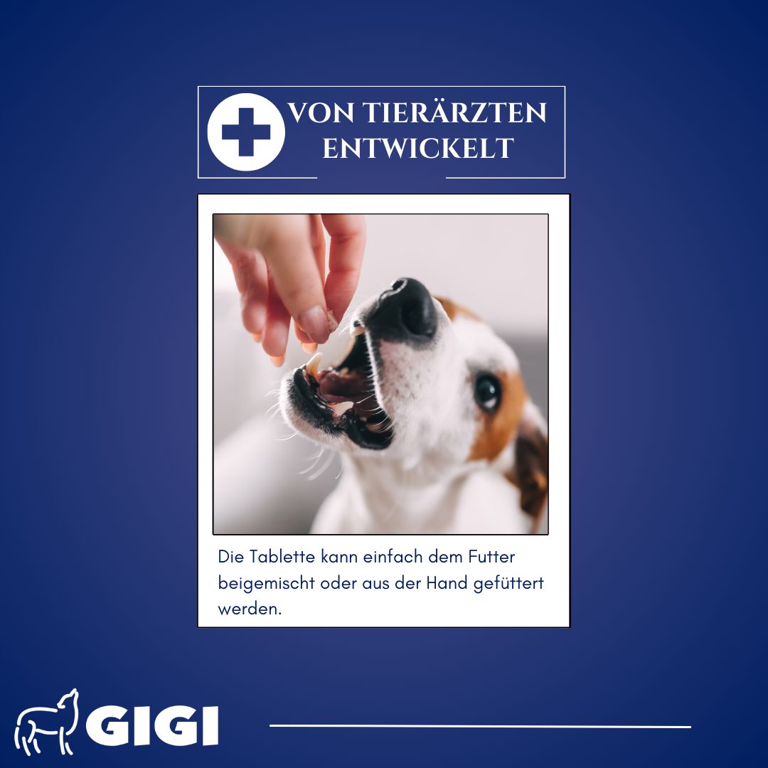 GIGI VET da-ba RELAX Plus Für Hunde und Katzen