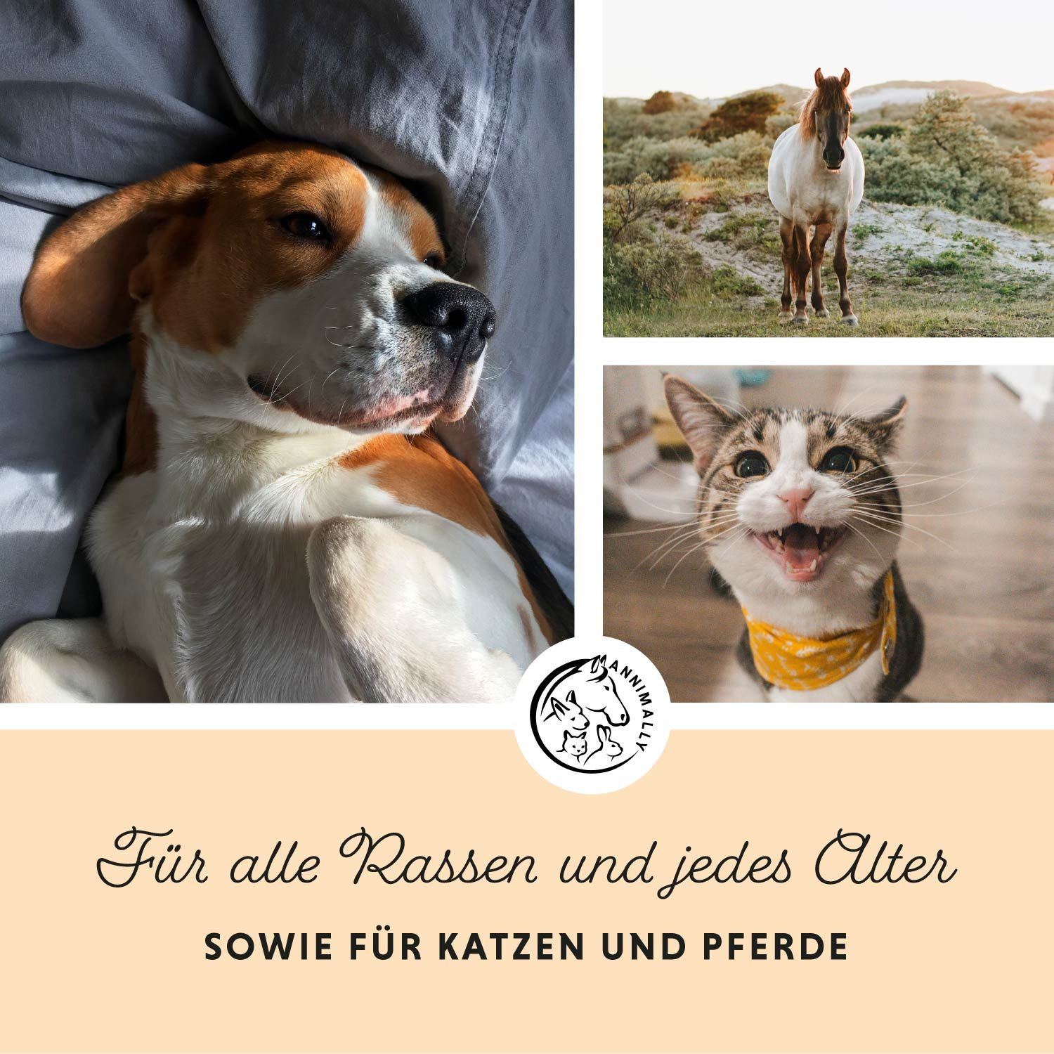 Collage mit Hund, Katze und Pferd. Text: Für alle Rassen und jedes Alter sowie für Katzen und Pferde.