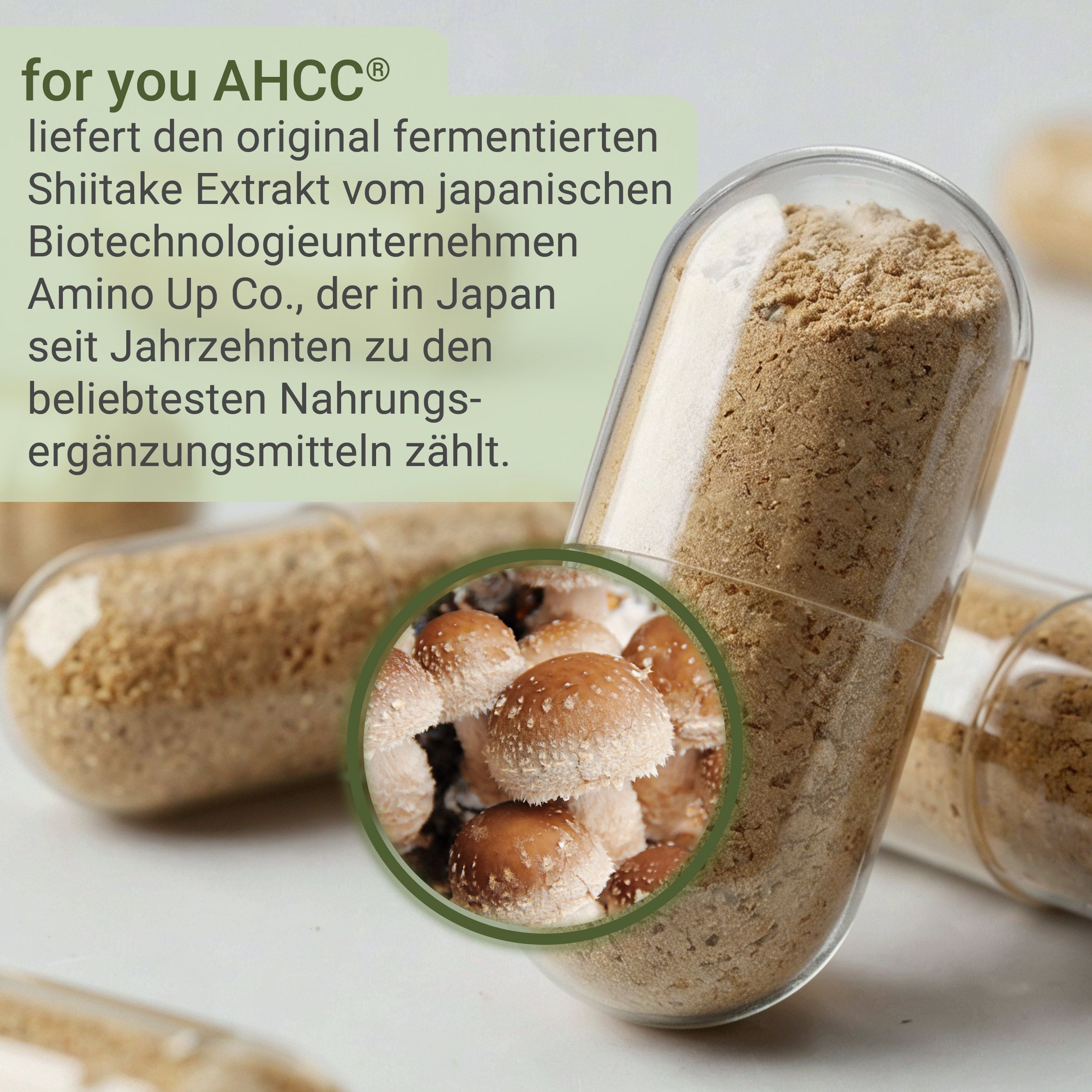 Nahaufnahme einer AHCC Kapsel mit Shiitake-Pilz-Detail.