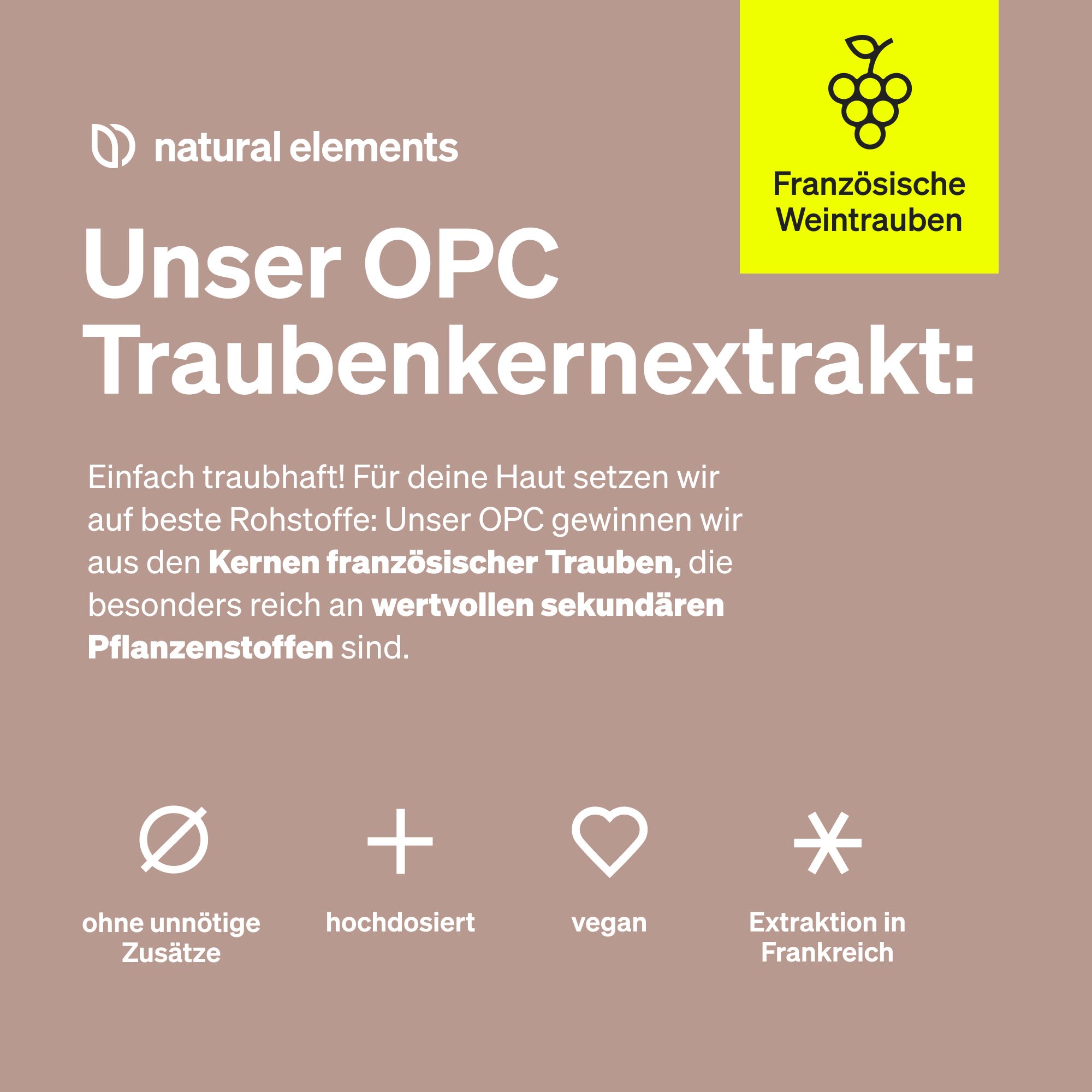 Text auf beigem Hintergrund: Unser OPC Traubenkernextrakt. Informationen zu Inhaltsstoffen und Eigenschaften. Vegan-Logo.