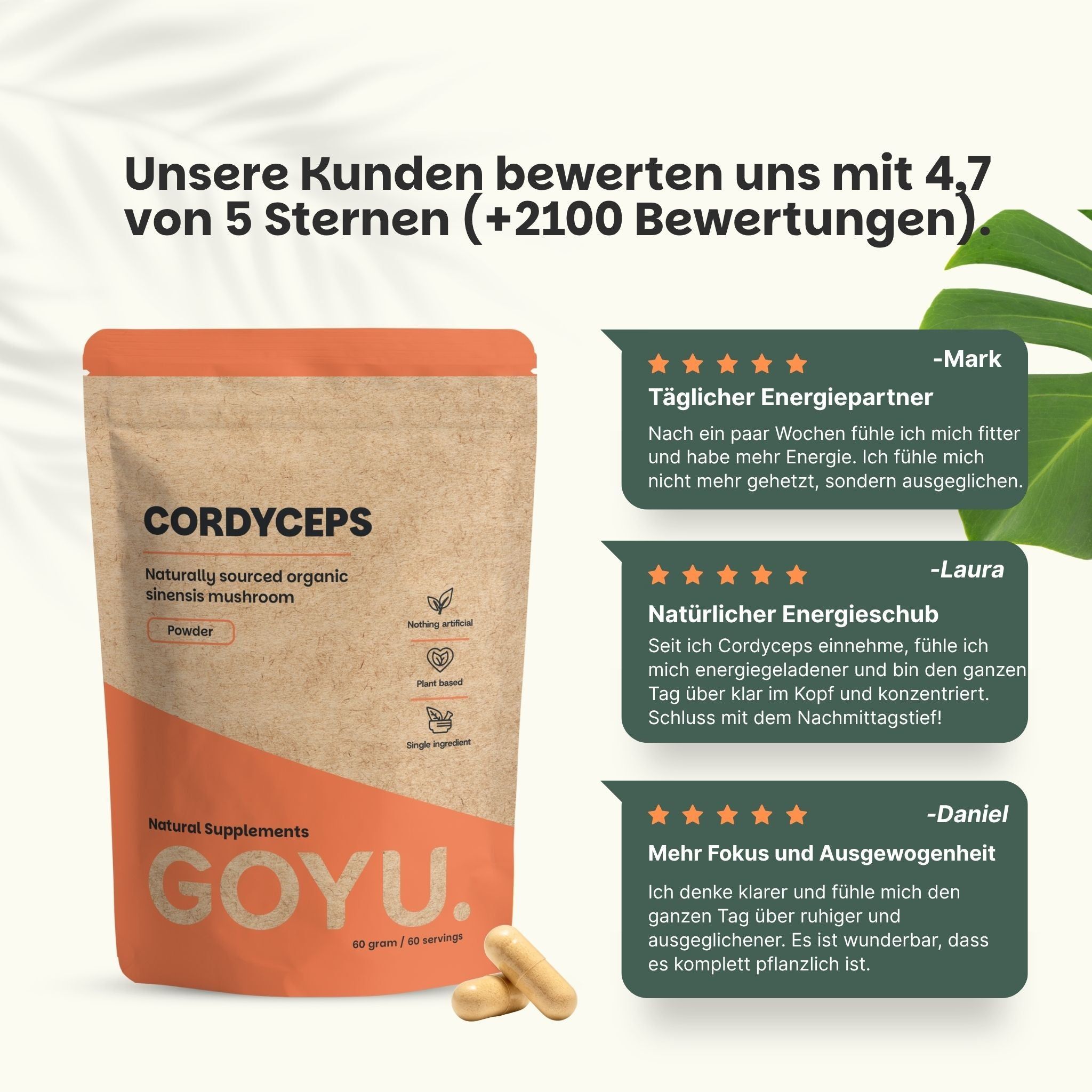 Vergleich: Unsere Cordyceps-Kapseln (Kraftpapier) vs. andere Anbieter (Plastik).