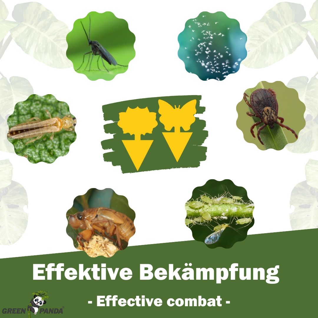 Grafik mit Insekten und Text: Effektive Bekämpfung. Green Panda Logo.