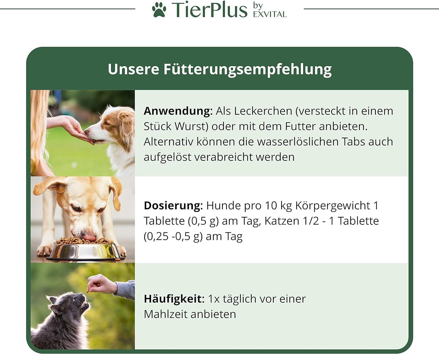 EXVital® Vitamin B Komplex Tabletten für Hunde & Katzen
