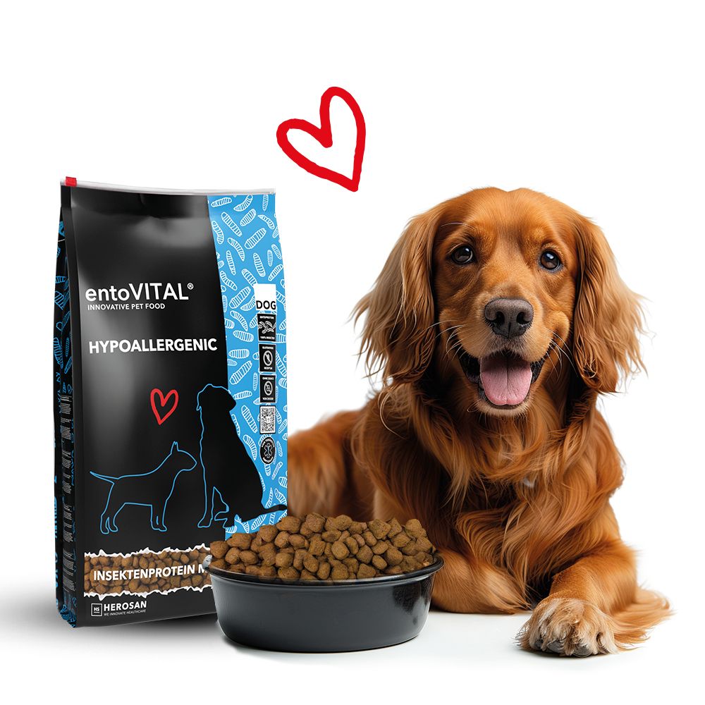 Brauner Hund neben einer schwarzen Tüte "entoVITAL HYPOALLERGENIC" und einer Schüssel mit Futter. Herz-Symbol.