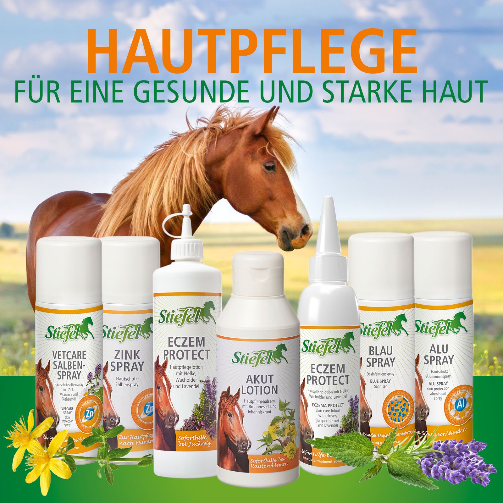 Produktreihe von Stiefel. Verschiedene Sprays und Lotionen für Pferde. Enthält Vetcare, Zink, Eczem Protect, Akut Lotion, Blauspray, und Alu Spray.