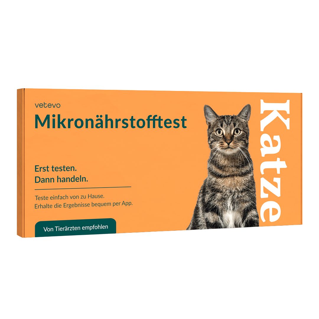 Verpackung des Mikronährstofftests für Katzen. Orangefarbene Schachtel mit Produktname, Katze-Illustration und Text: Erst testen. Dann handeln.