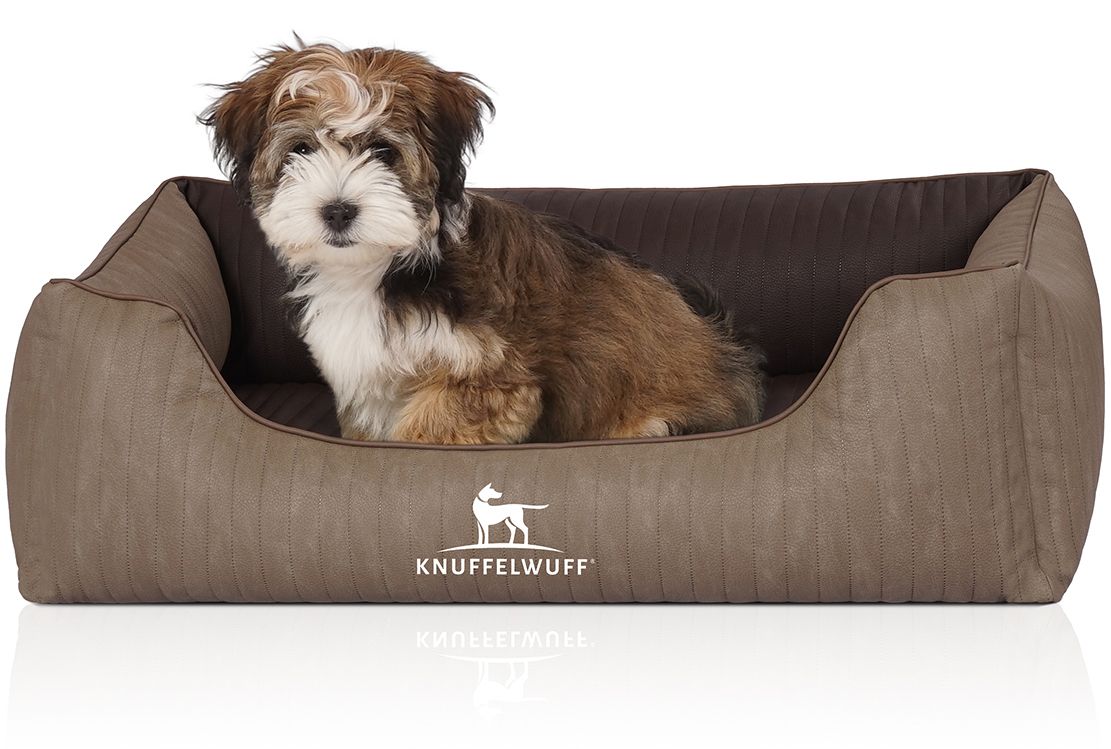 Hundebett Outlander, braun, mit Hund. Rechteckige Form, erhöhte Seiten. Logo Knuffelwuff.