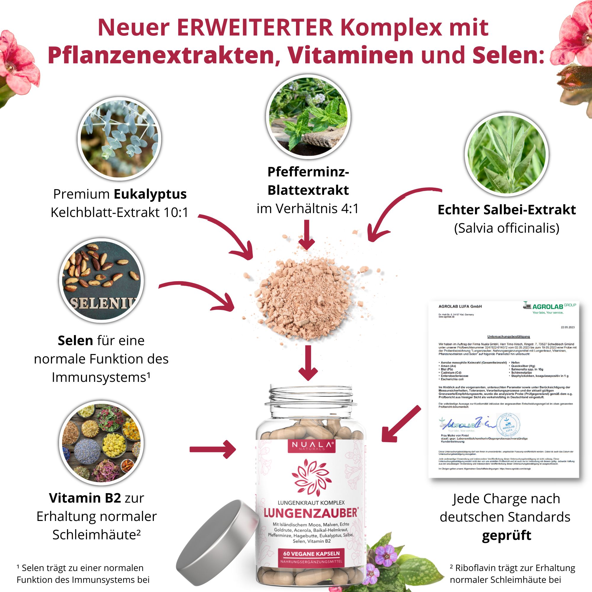Produktabbildung mit Inhaltsstoffen. Zeigt eine Flasche mit Kapseln, Premium Eukalyptus, Pfefferminz, Salbei, Selen und Vitamin B2.