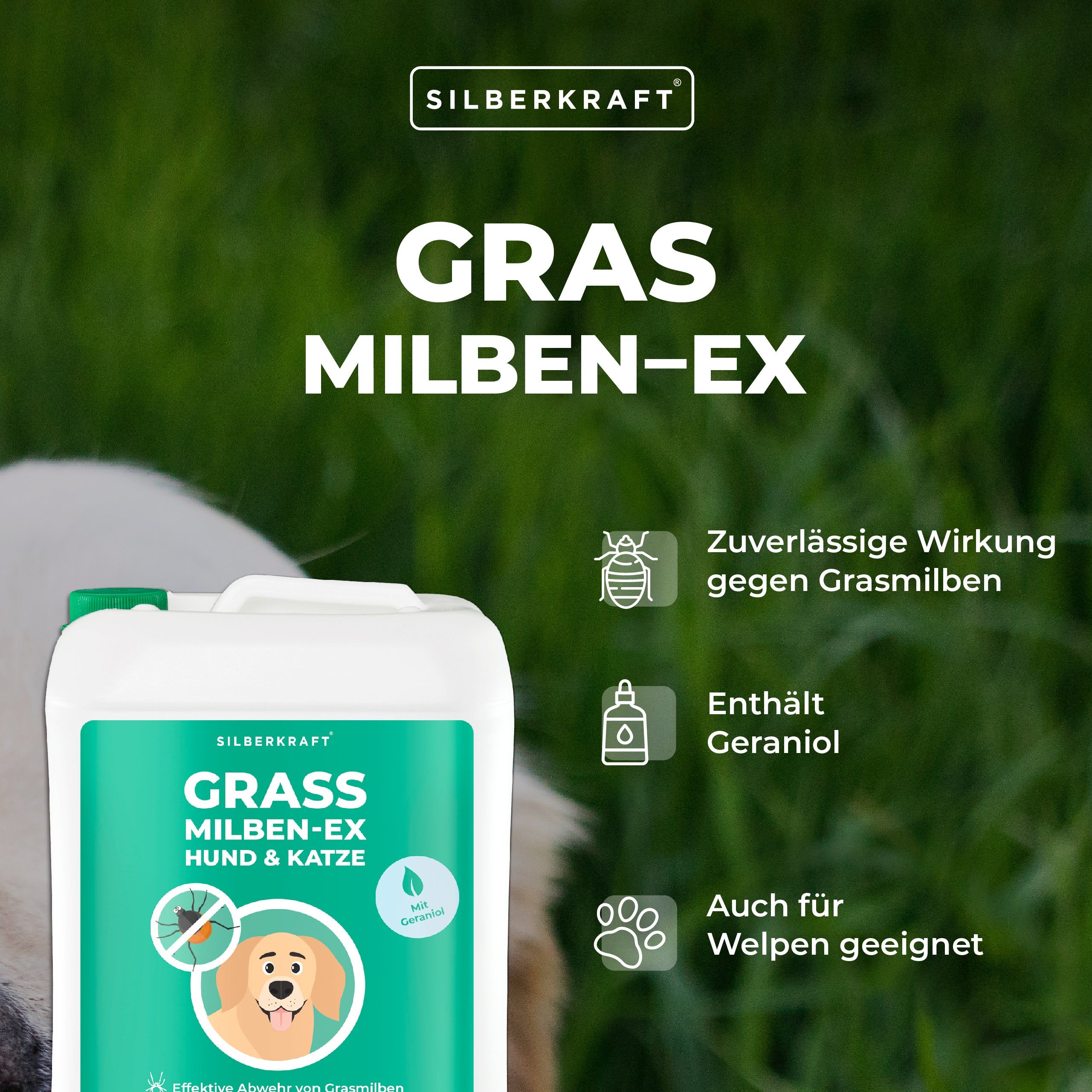 Silberkraft Grasmilben Ex Hund & Katze 2000 ml Spray