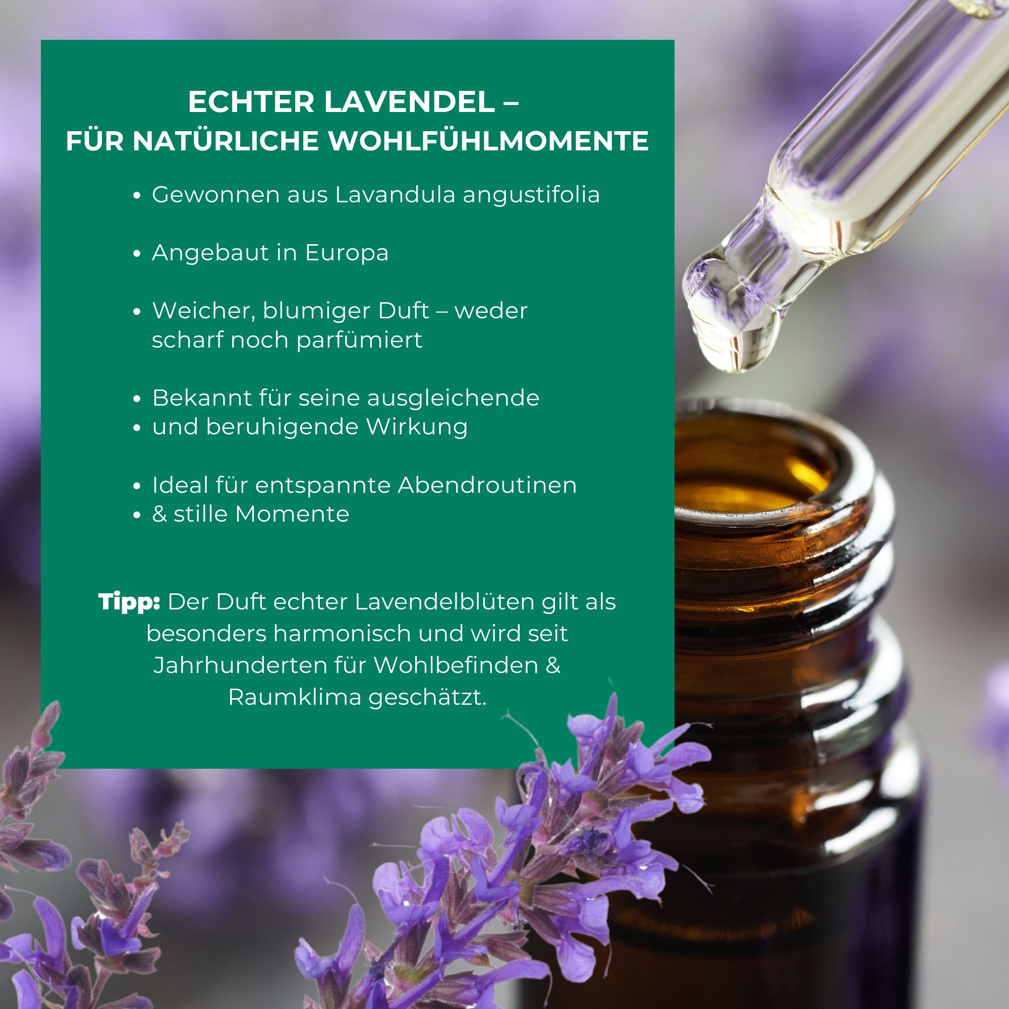 SILBERKRAFT Lavendelspray