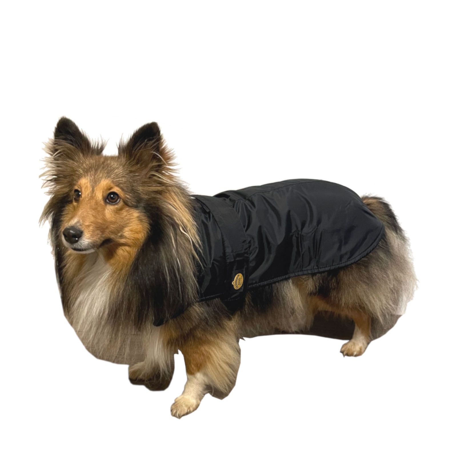 Fashion Dog Hunde-Regenmantel mit Fleecefutter - Schwarz 39 cm 1 St