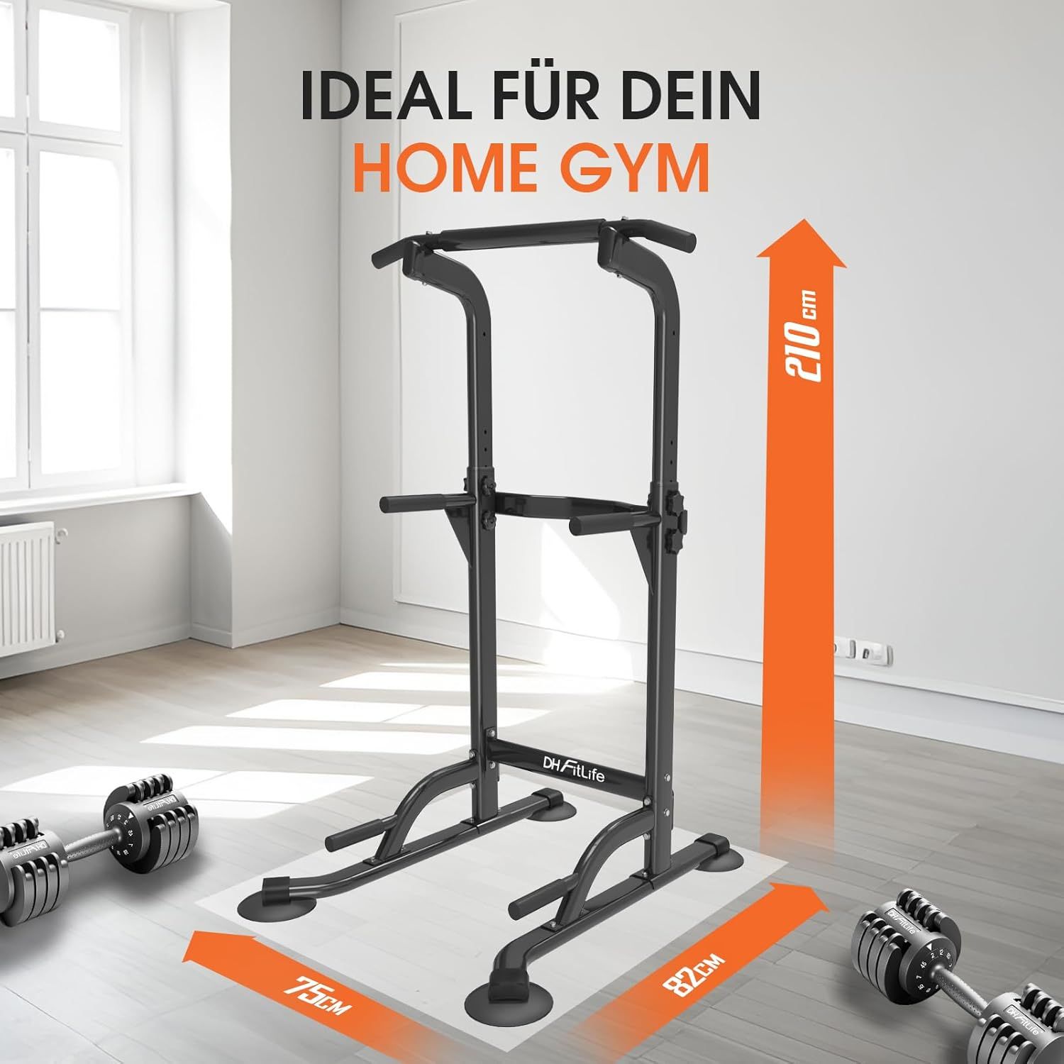DH FitLife Dip Station