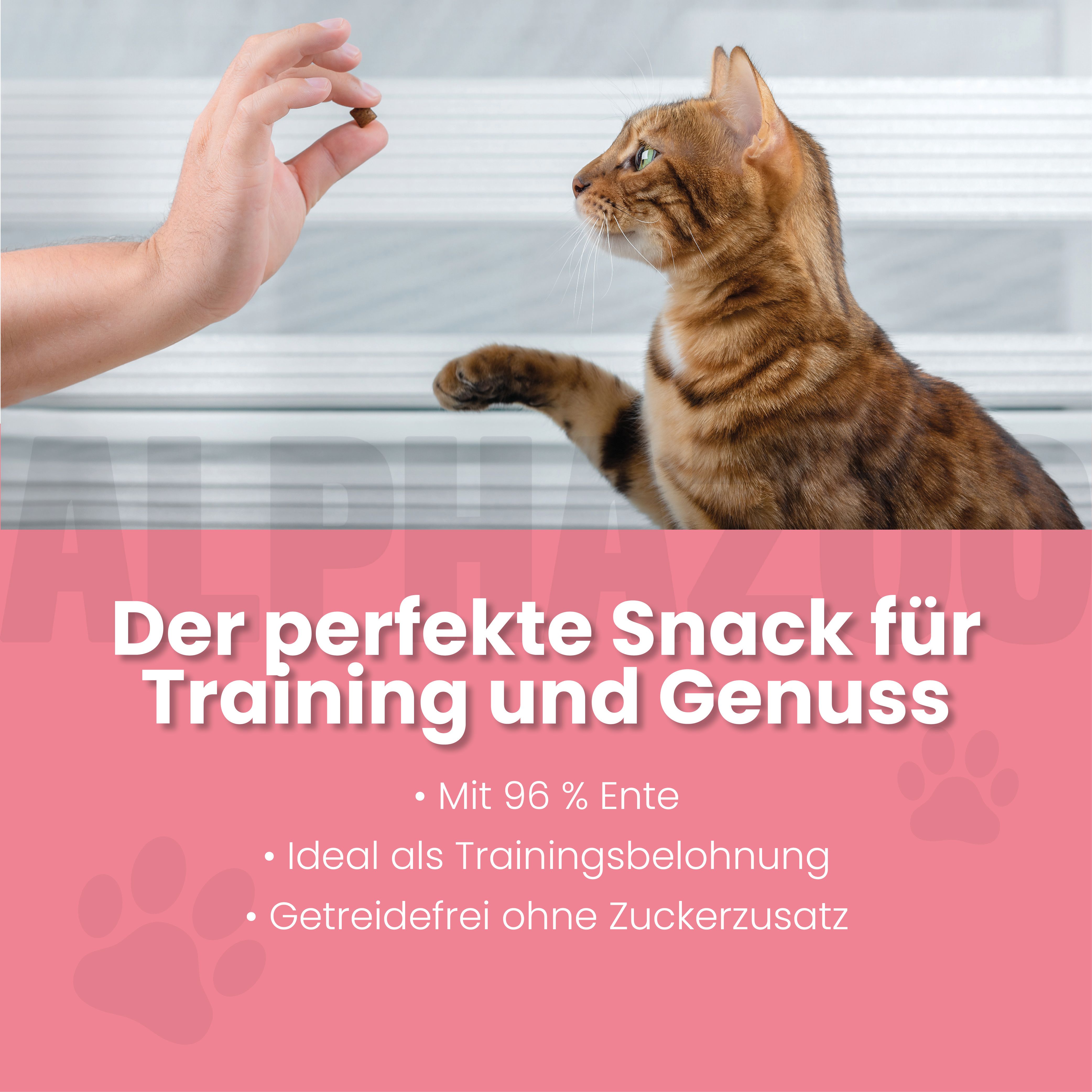 alphazoo Ente Ente Ente Ente – Katzensnack mit Ente