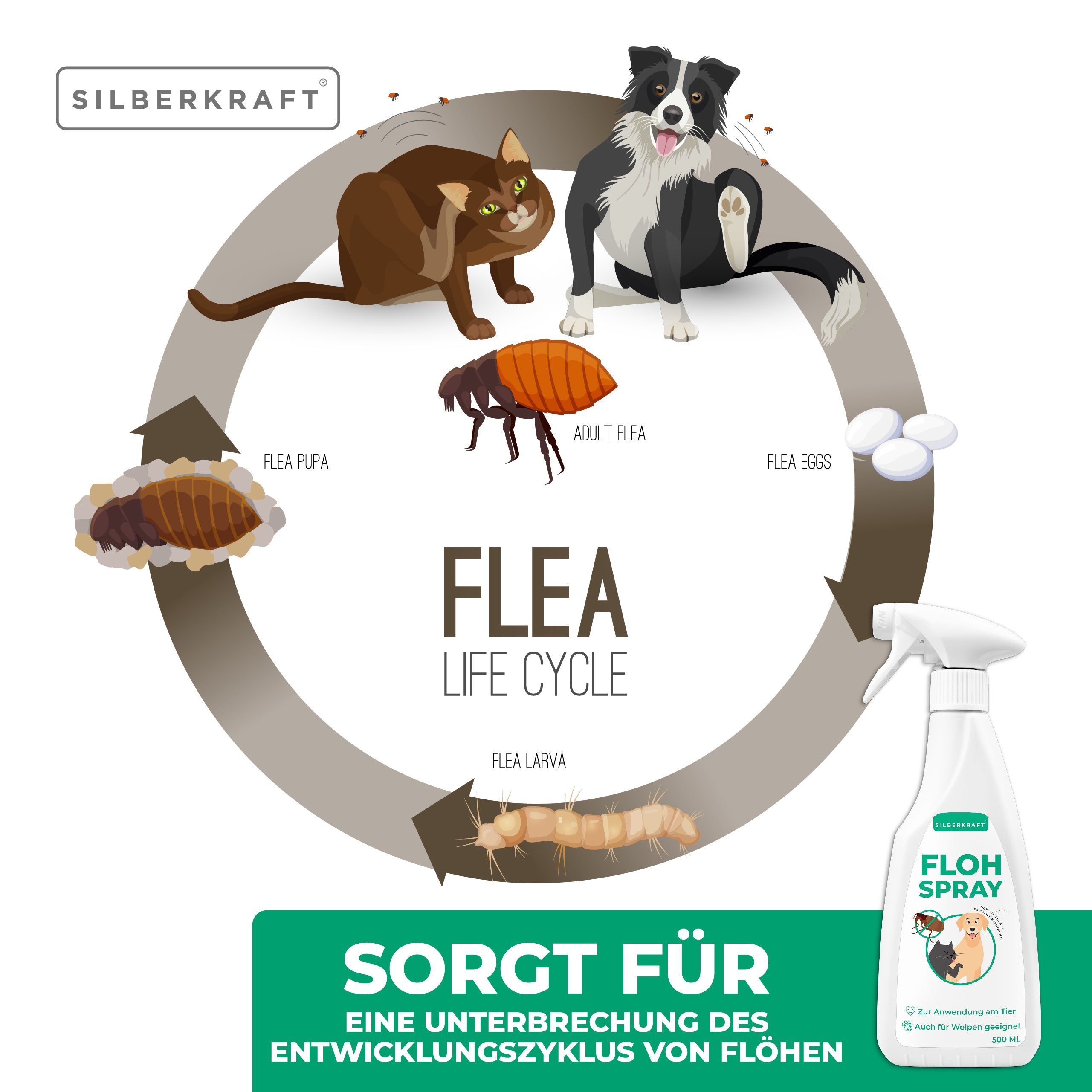 SILBERKRAFT Flohspray Hunde und Katzen 4x500 ml - SHOP APOTHEKE
