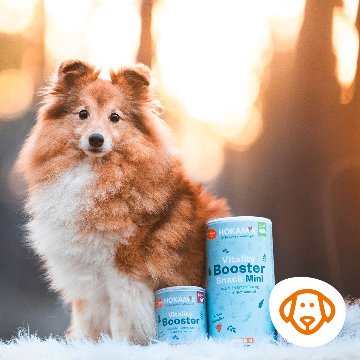 Zwei Dosen GRAU HOKAMIX Vitality Booster Snack Mini neben einem Hund. Eine Dose ist geöffnet. Logo mit Hundekopf.