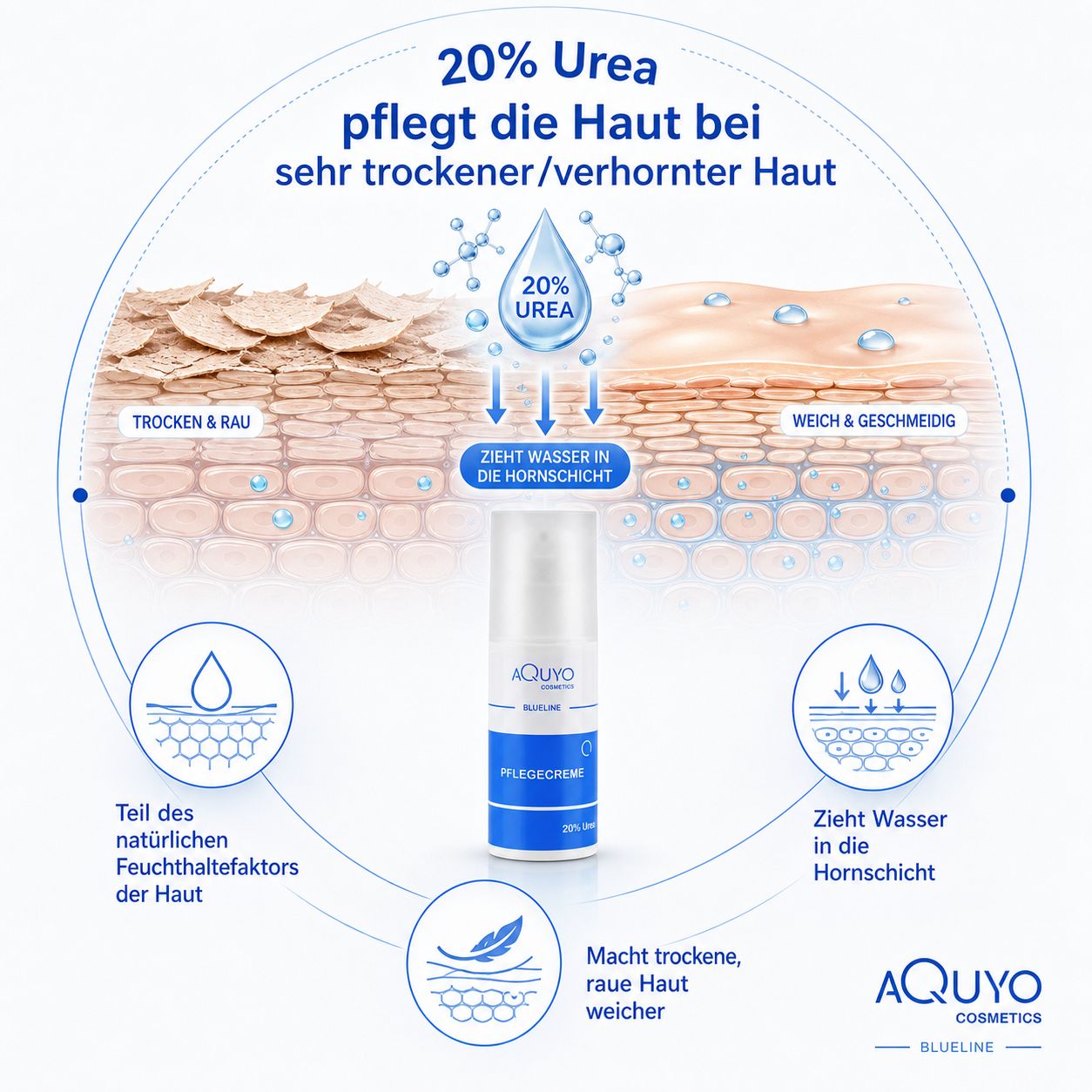 Grafik mit Creme-Flasche und Hautschichten. Text: 20% Urea pflegt die Haut bei sehr trockener/verhornter Haut. Zieht Wasser in die Hornschicht.