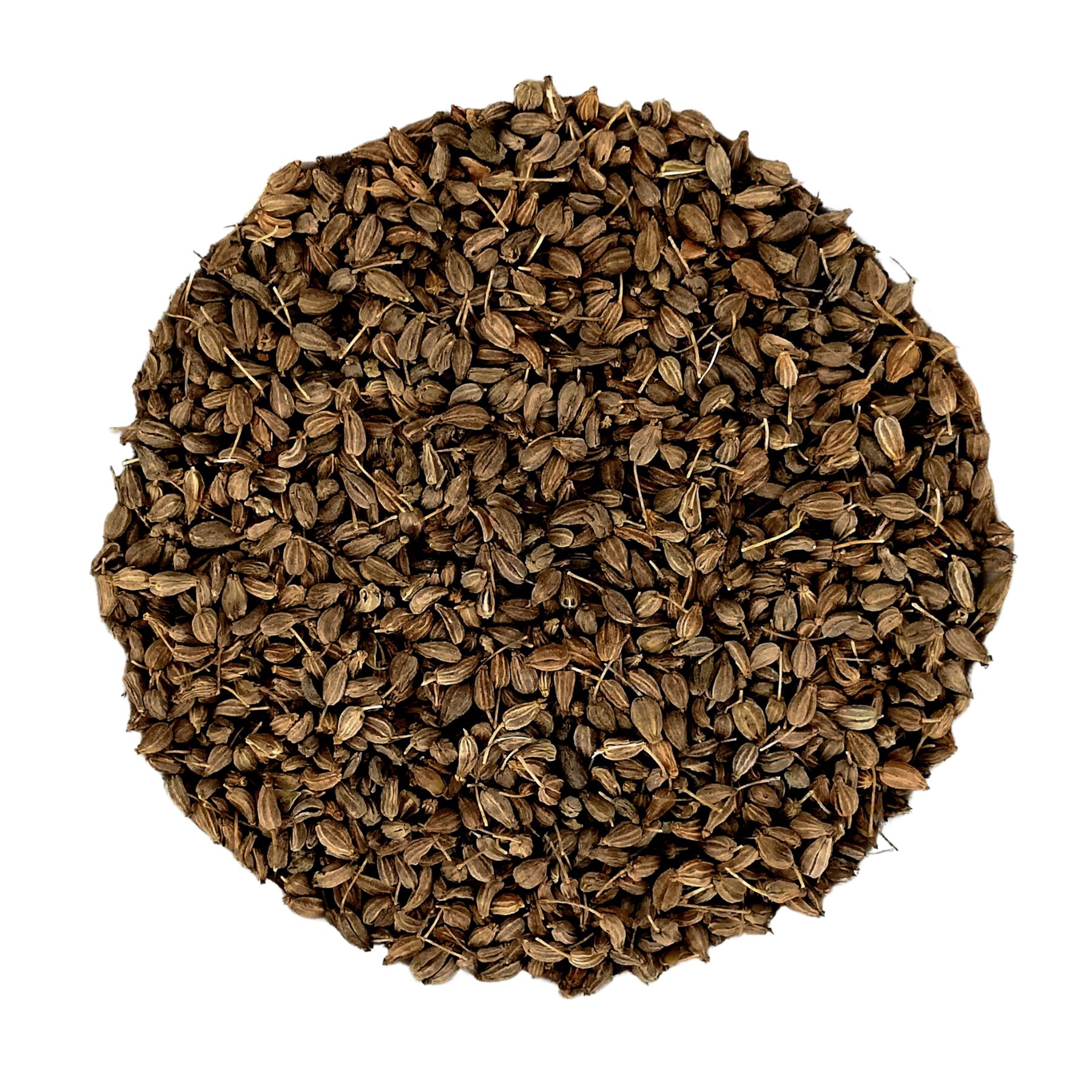 PEPPERMINTMAN Anis-Tee