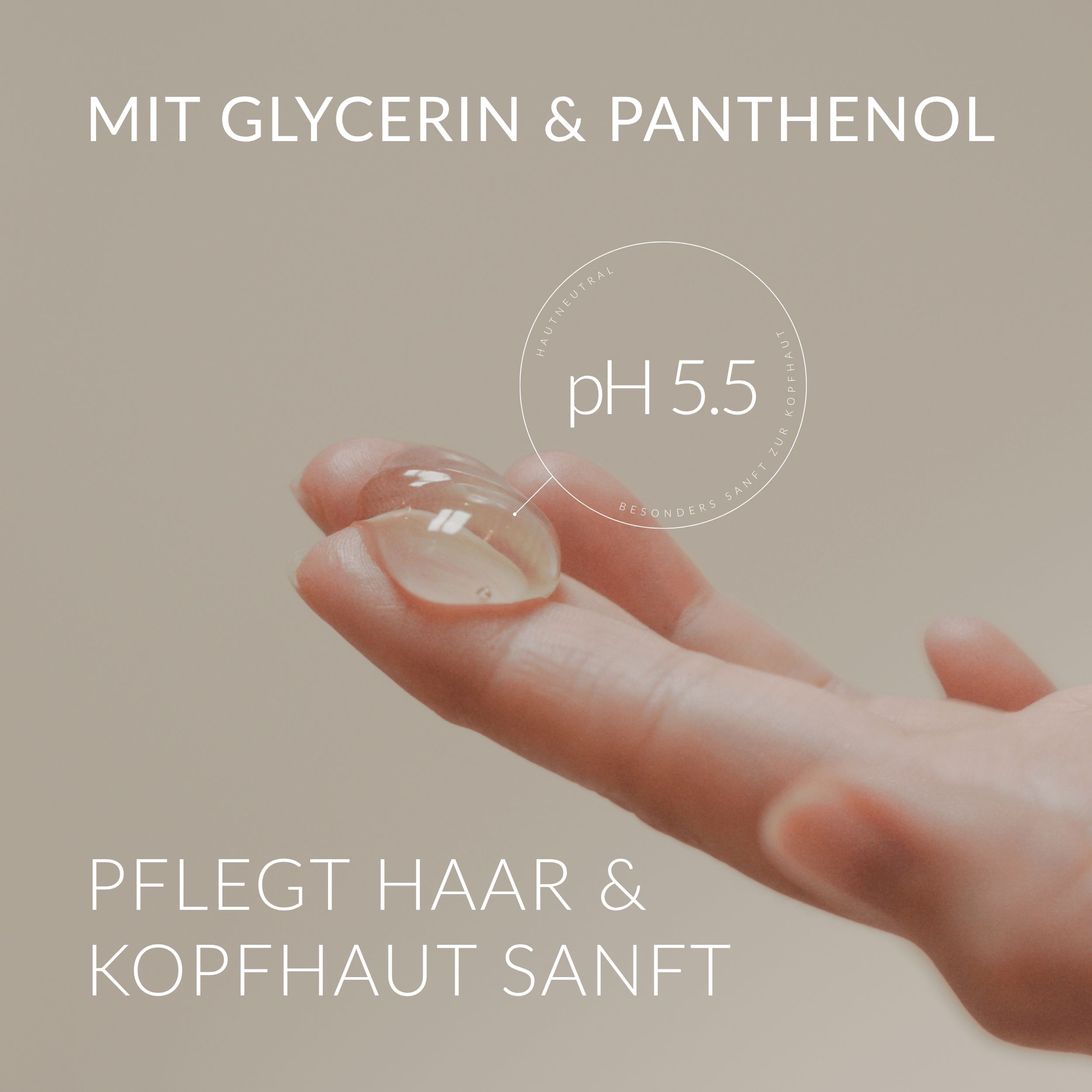Hand mit Tropfen Shampoo. Text: MIT GLYCERIN & PANTHENOL. pH 5.5. PFLEGT HAAR & KOPFHAUT SANFT.