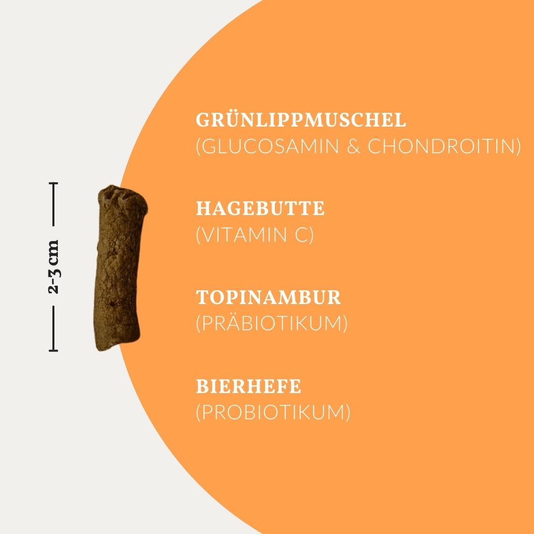 vetevo Flexi Bites Hund