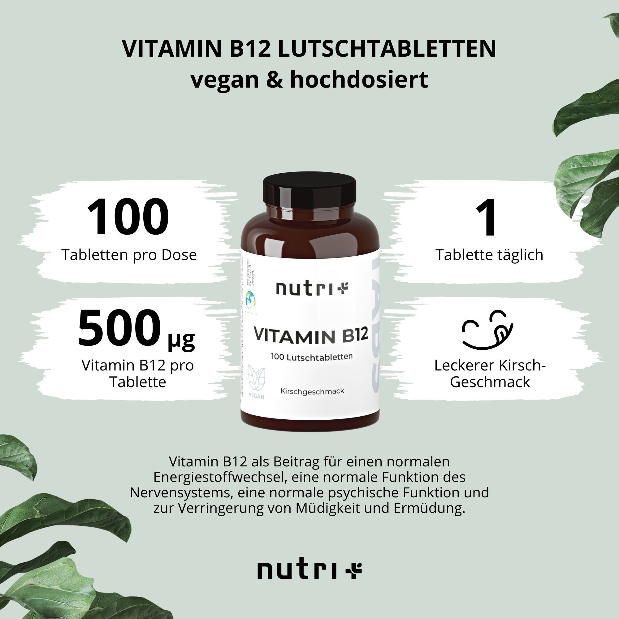 Braune Flasche nutri+ Vitamin B12 Lutschtabletten. 100 Tabletten pro Dose, 500 µg pro Tablette, 1 Tablette täglich. Kirschgeschmack. Vegan & hochdosiert.
