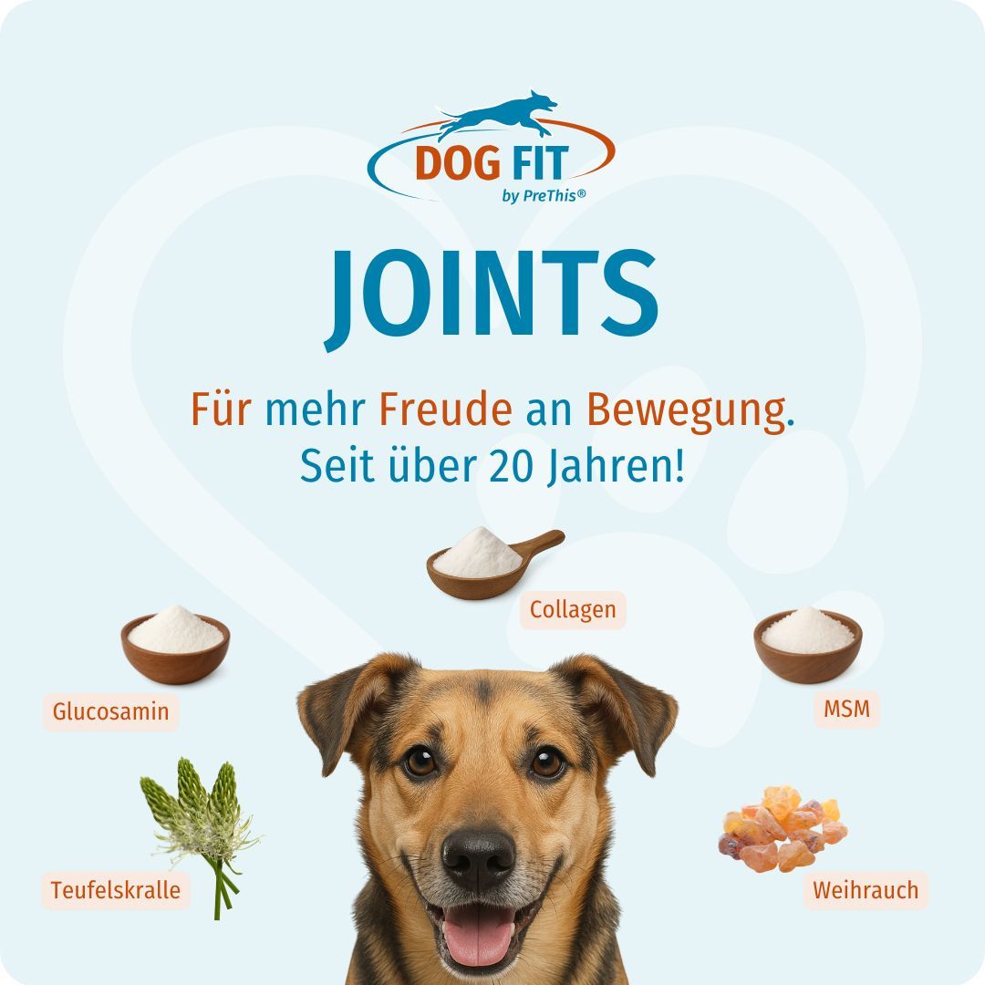 Produktlogo DOG FIT by PreThis® JOINTS. Zutaten: Glucosamin, Collagen, MSM, Teufelskralle, Weihrauch. Hund.